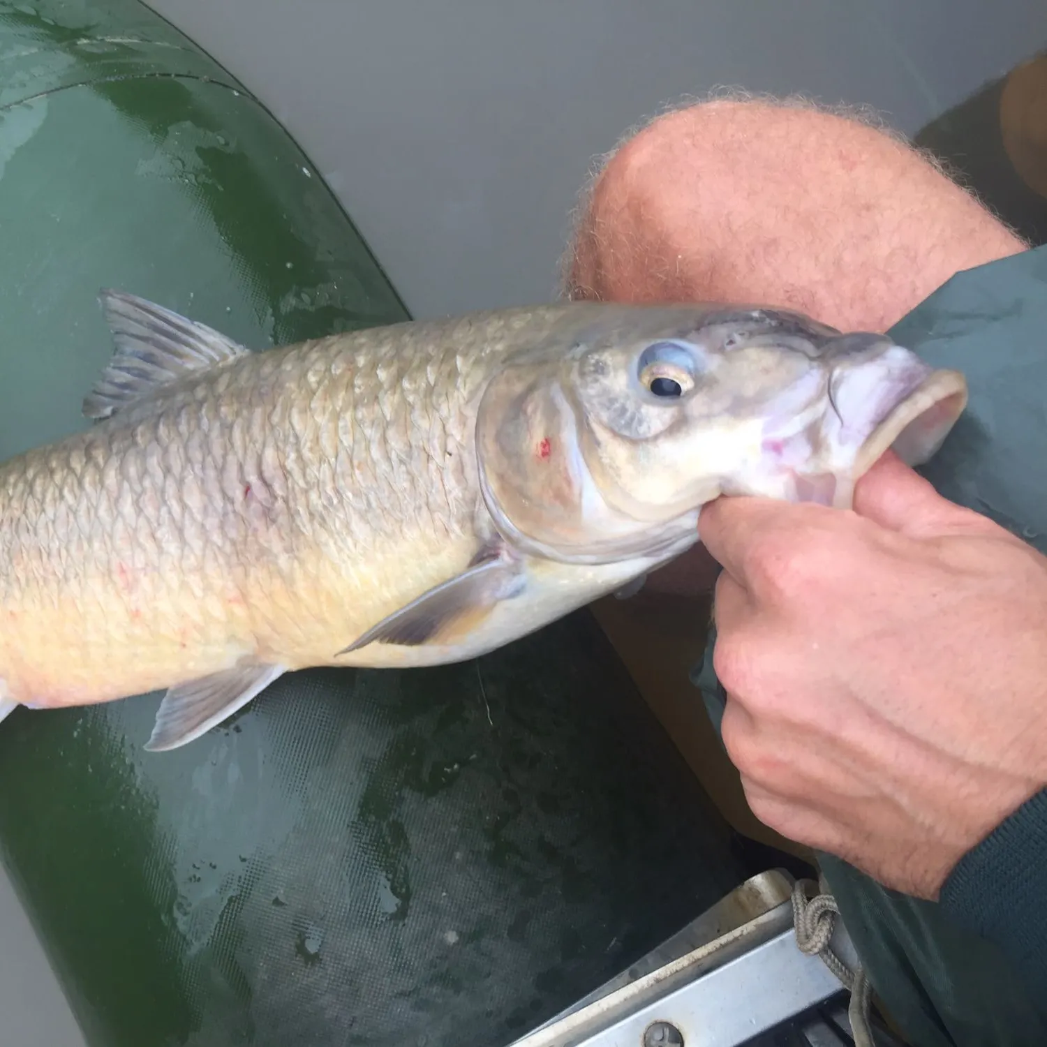angler catch