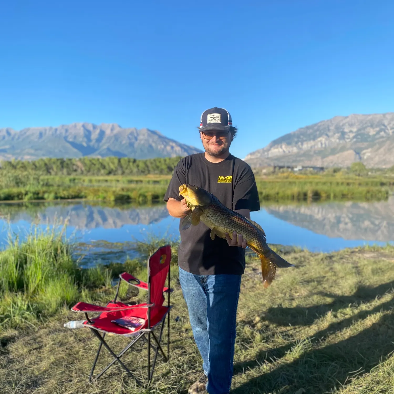 Common carp caught on Fishbrain