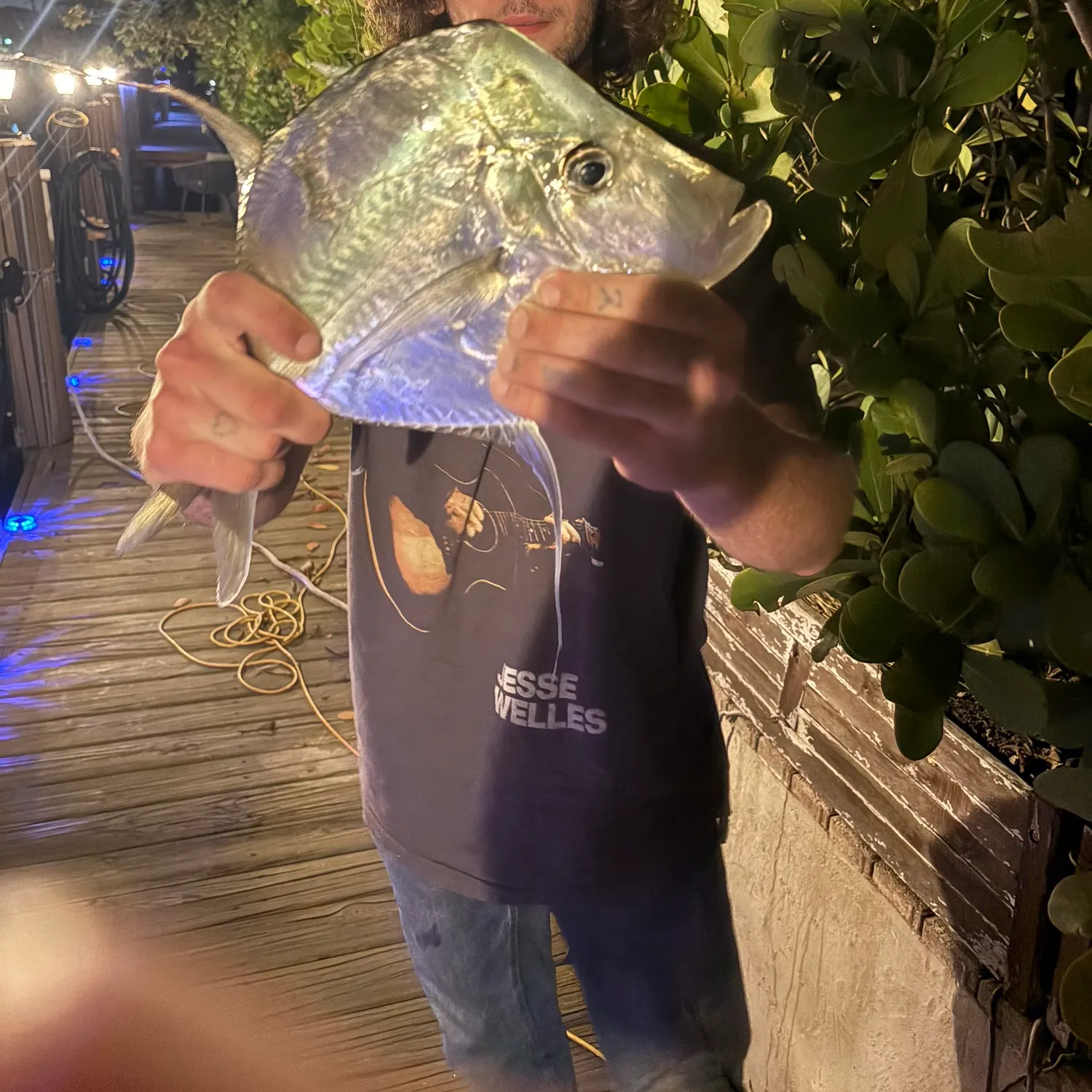 The most recent Lookdown catches on Fishbrain