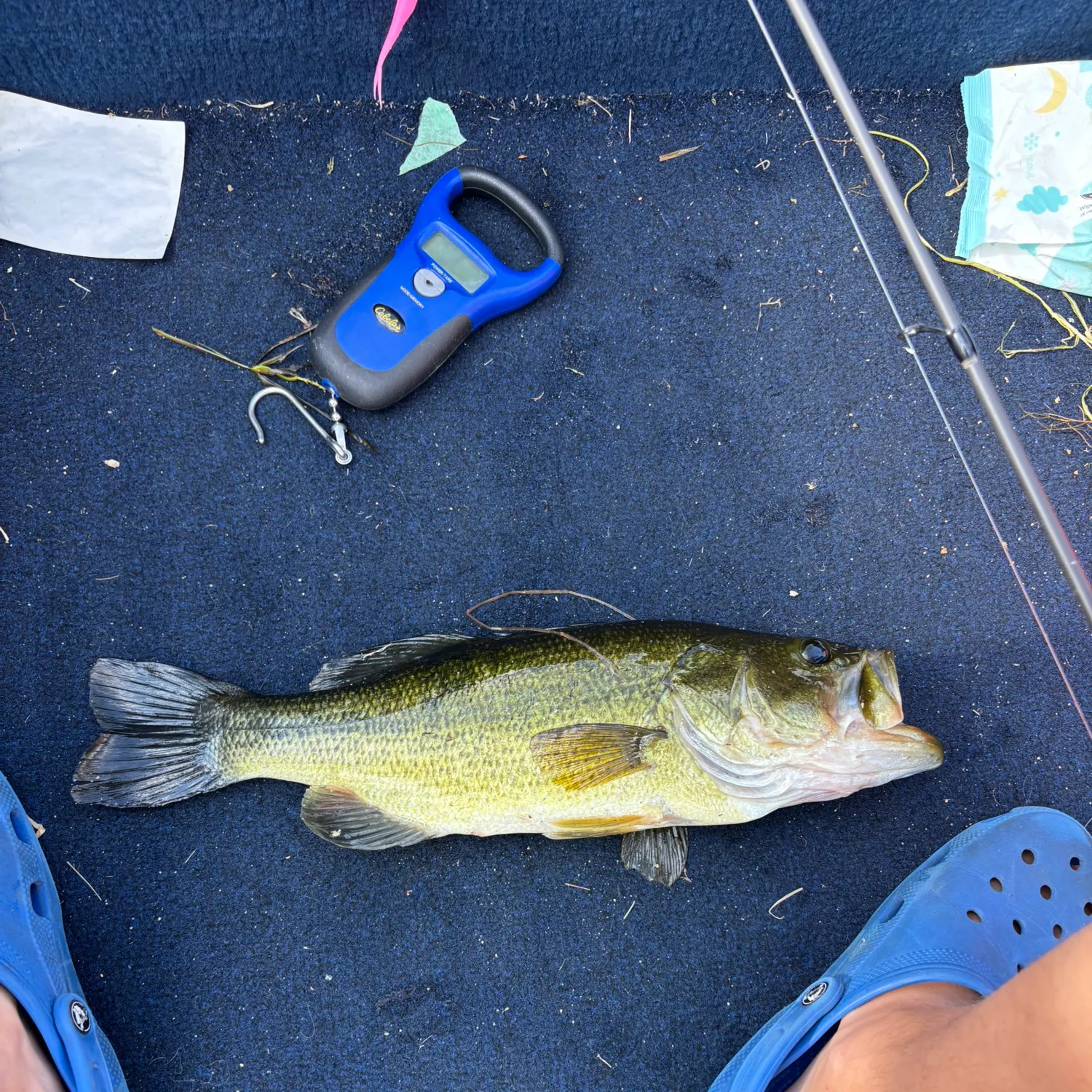 recently logged catches
