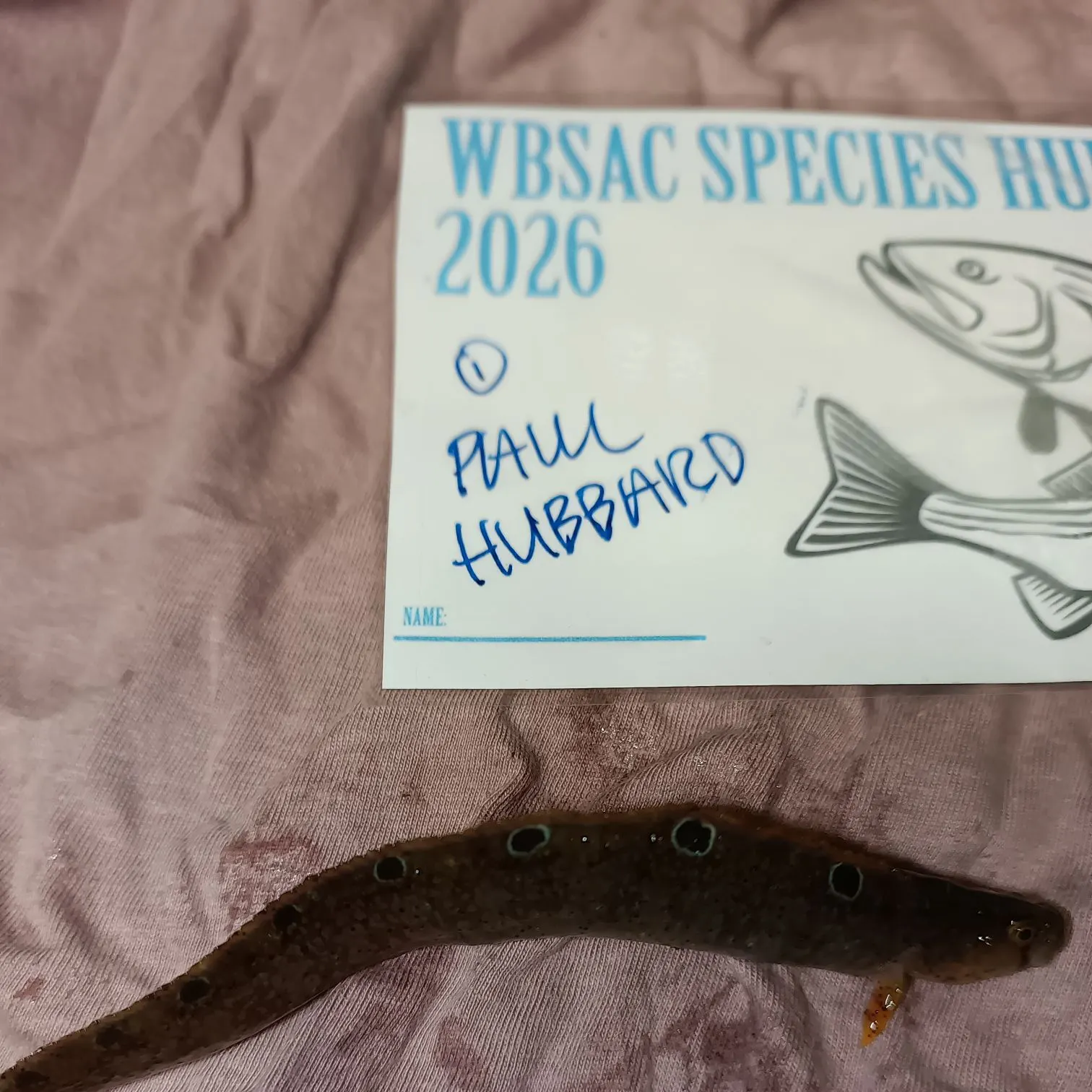 recently logged catches