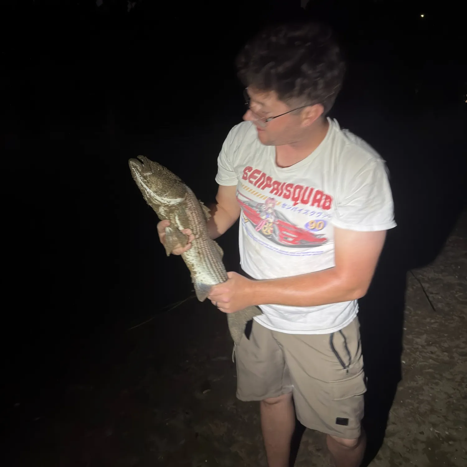 Striped bass caught on Fishbrain