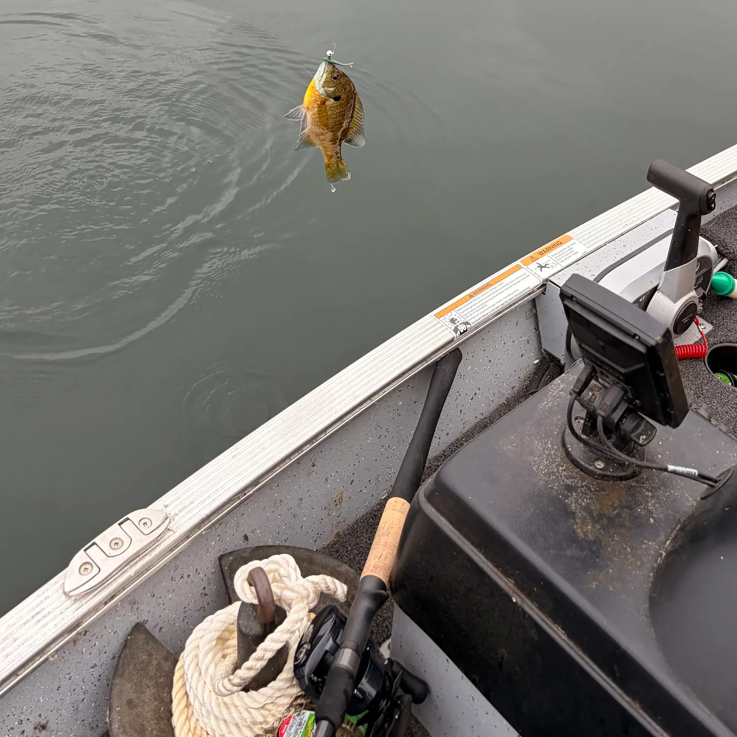 Fish caught on Fishbrain