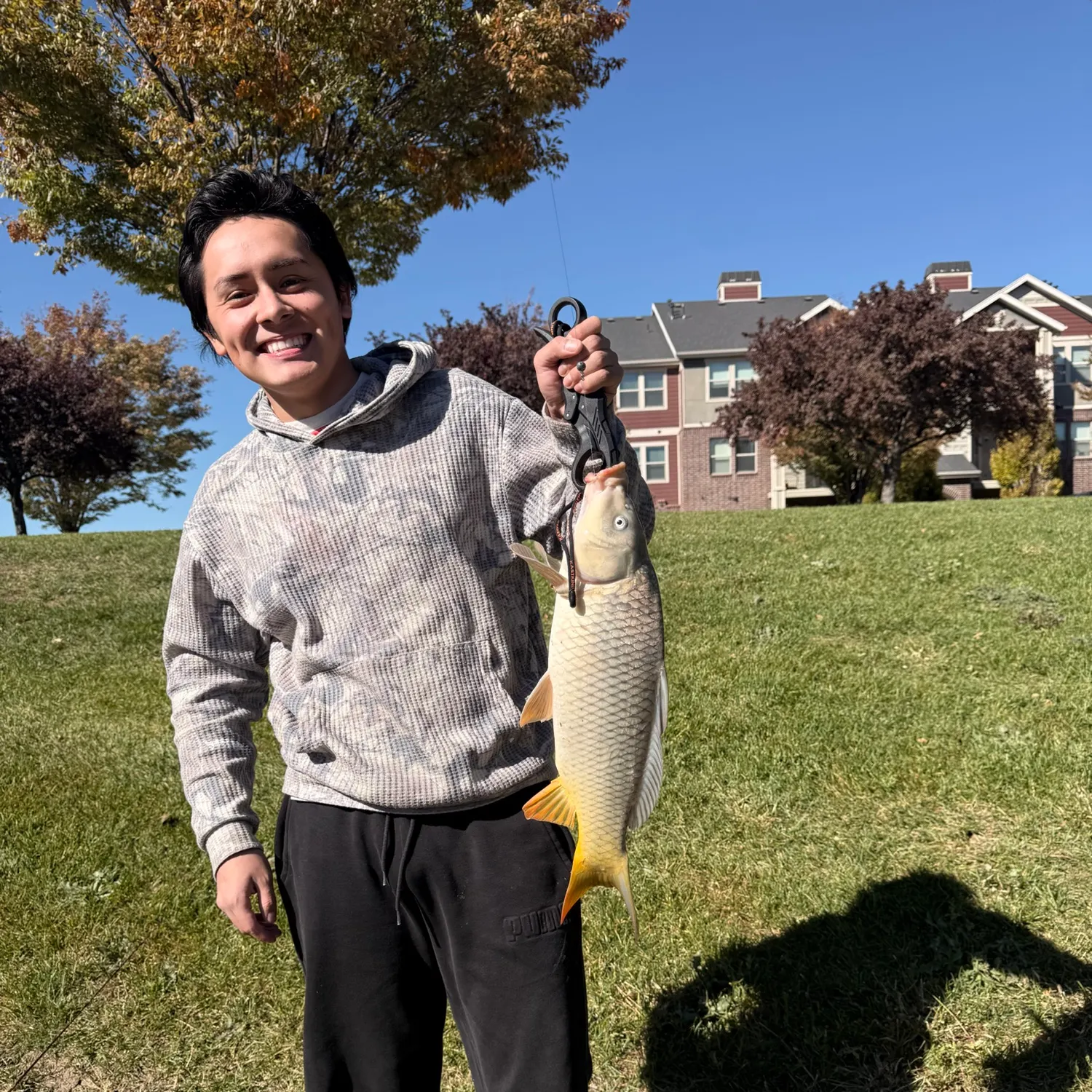 Common carp caught on Fishbrain