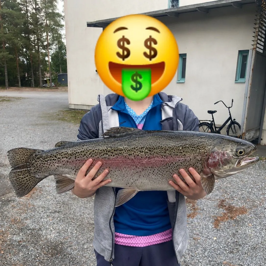 Rainbow trout caught on Fishbrain