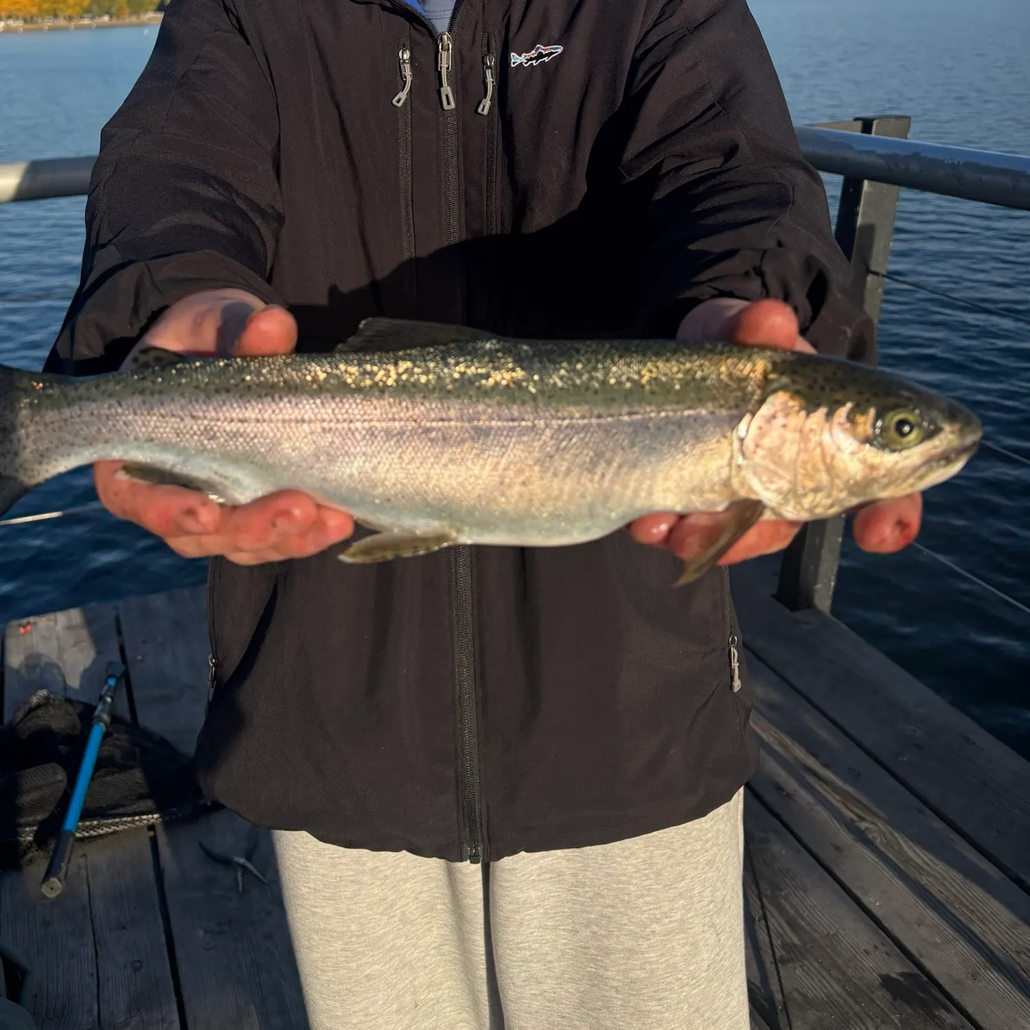 Rainbow trout caught on Fishbrain