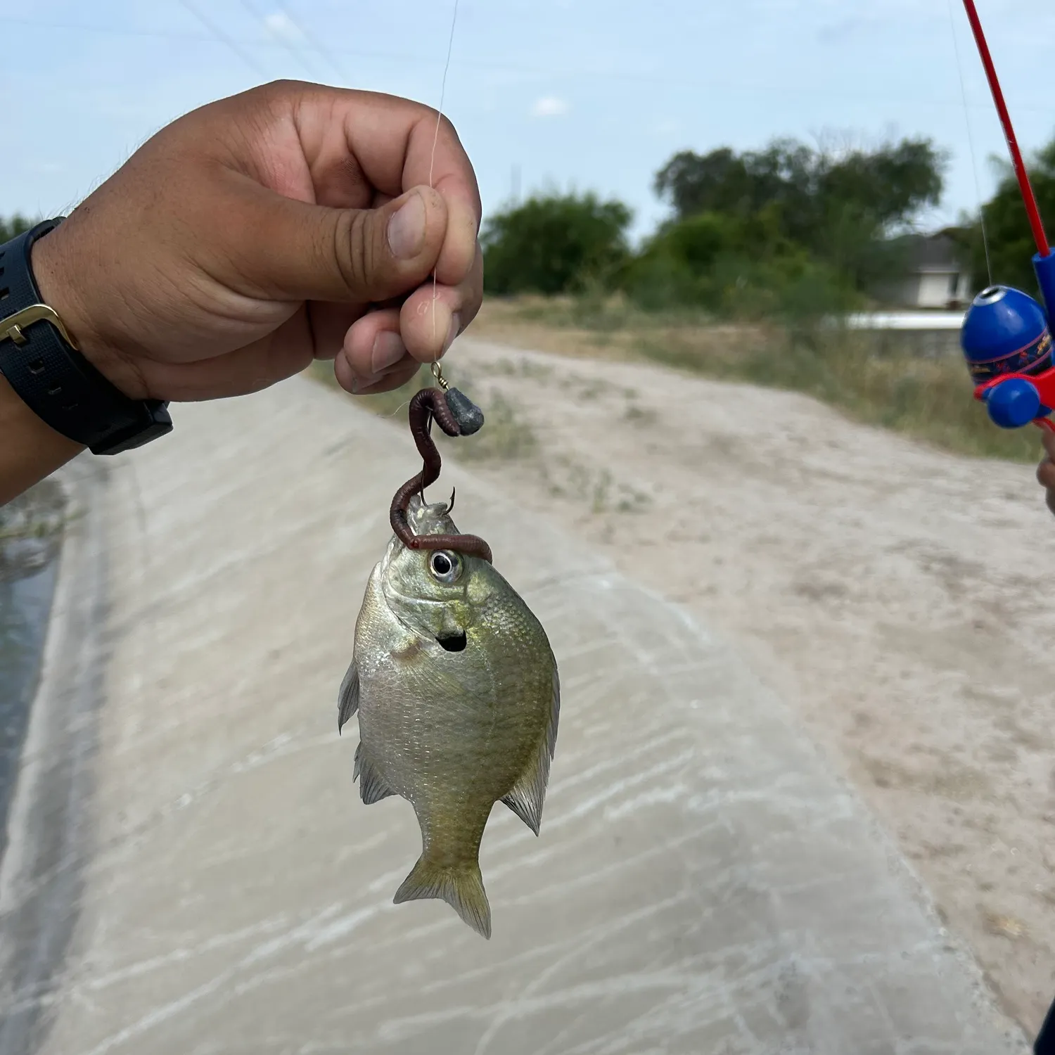 catch