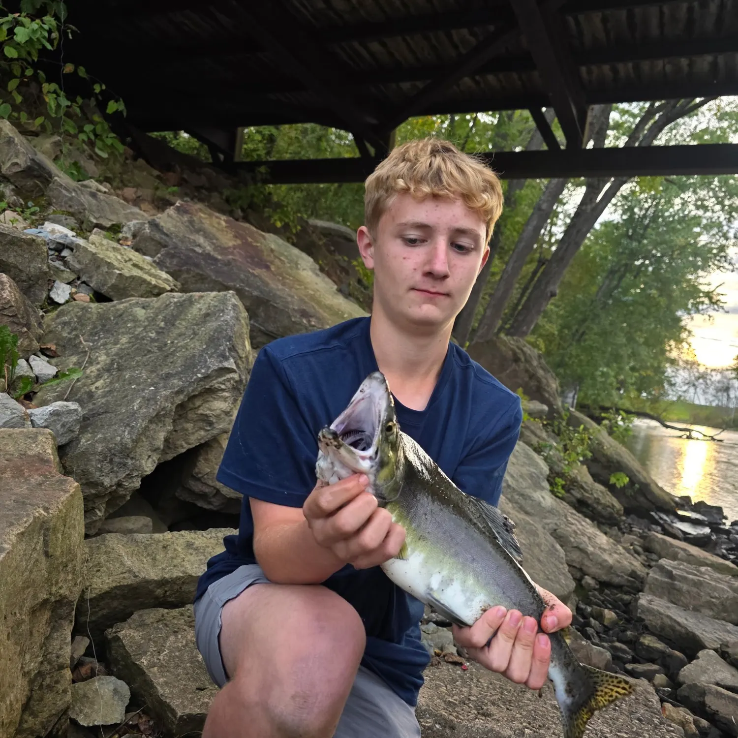 Pink salmon caught on Fishbrain