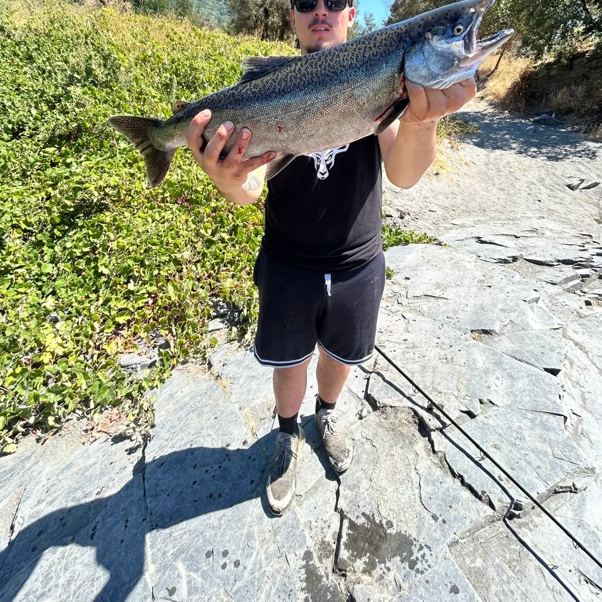 Chinook salmon caught on Fishbrain
