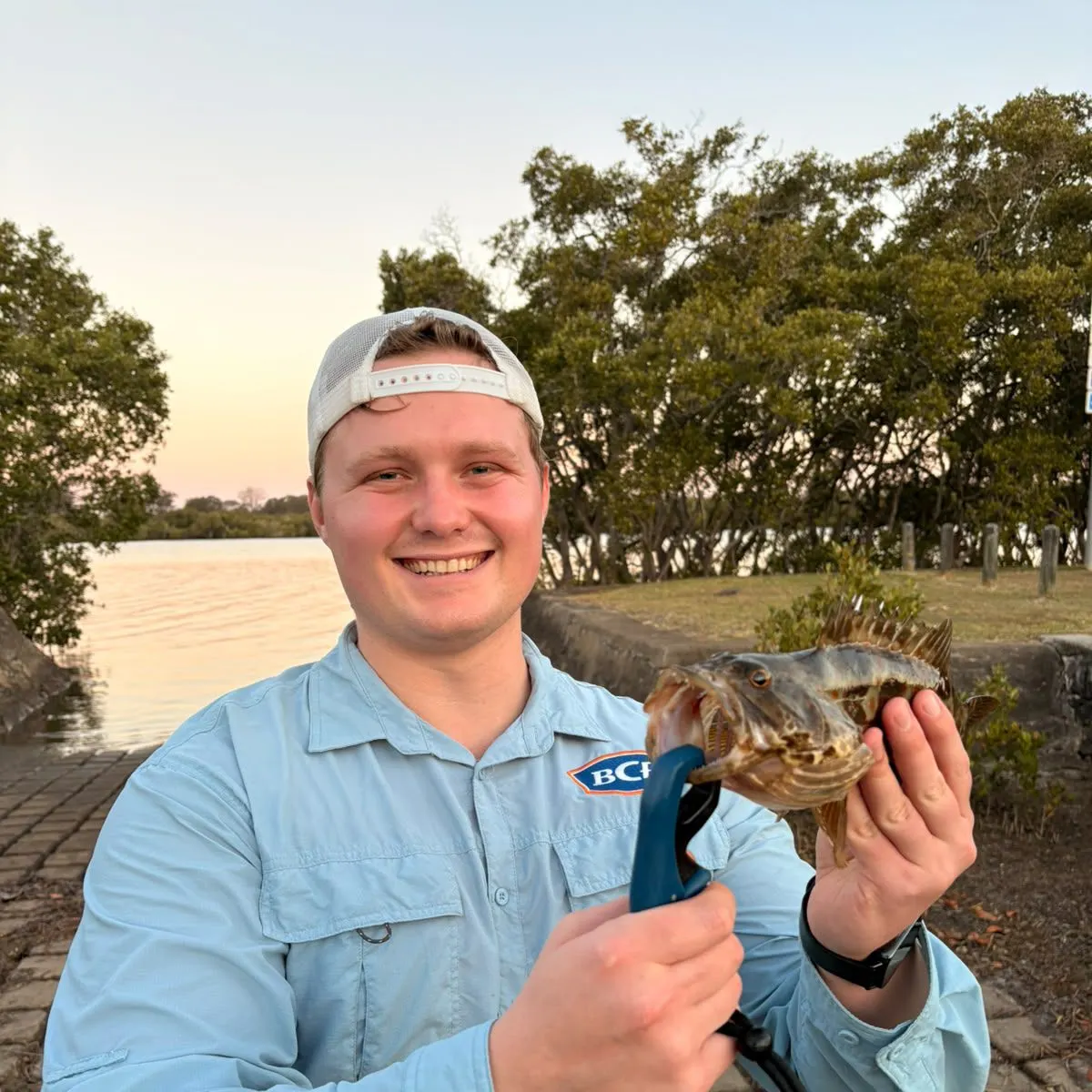 The most recent Malabar grouper catches on Fishbrain