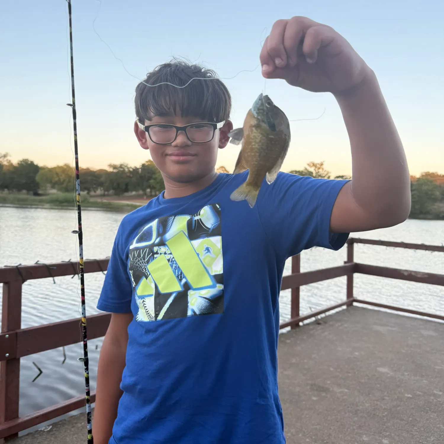 Bluegill caught on Fishbrain