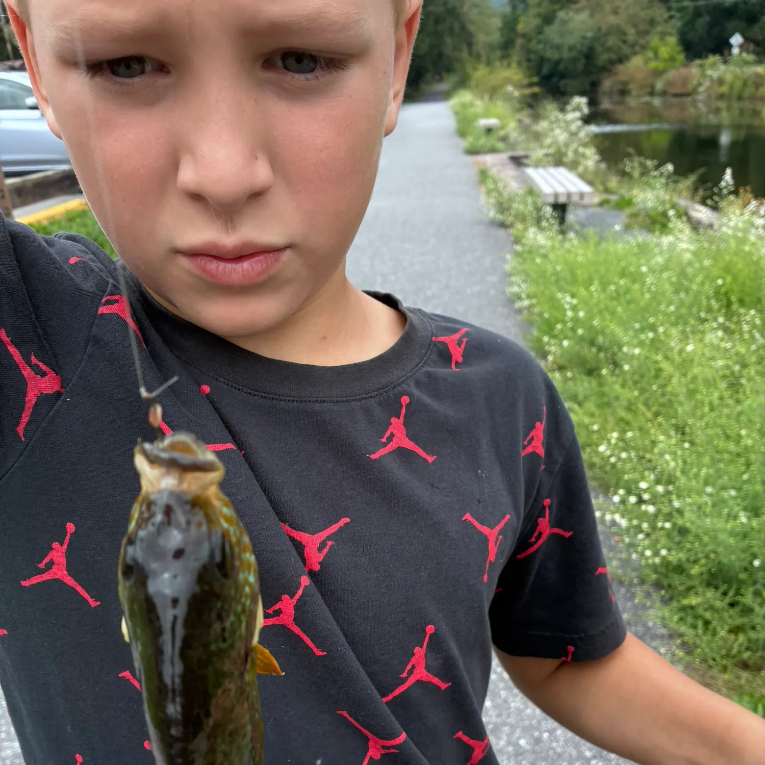 Bluegill caught on Fishbrain