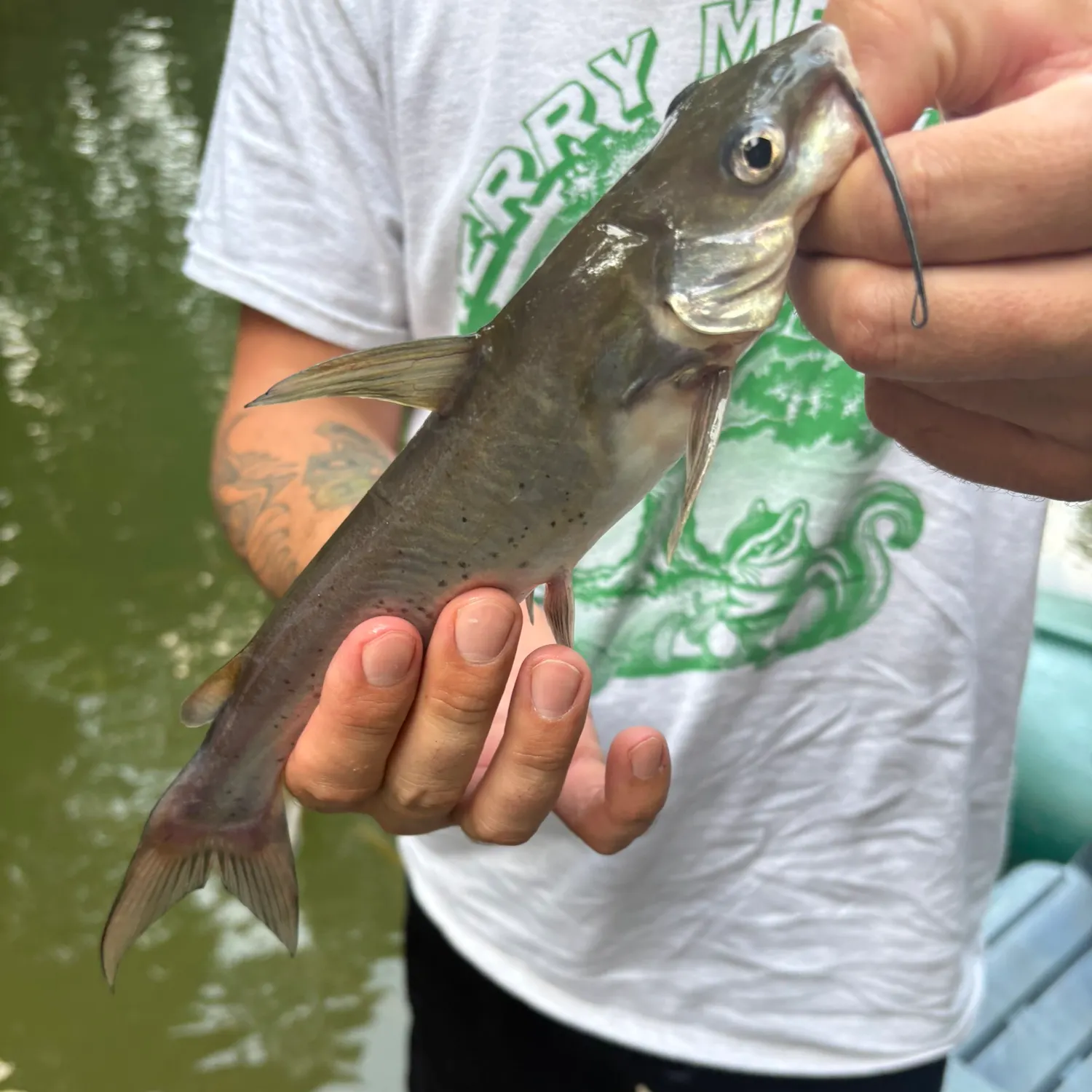 catch