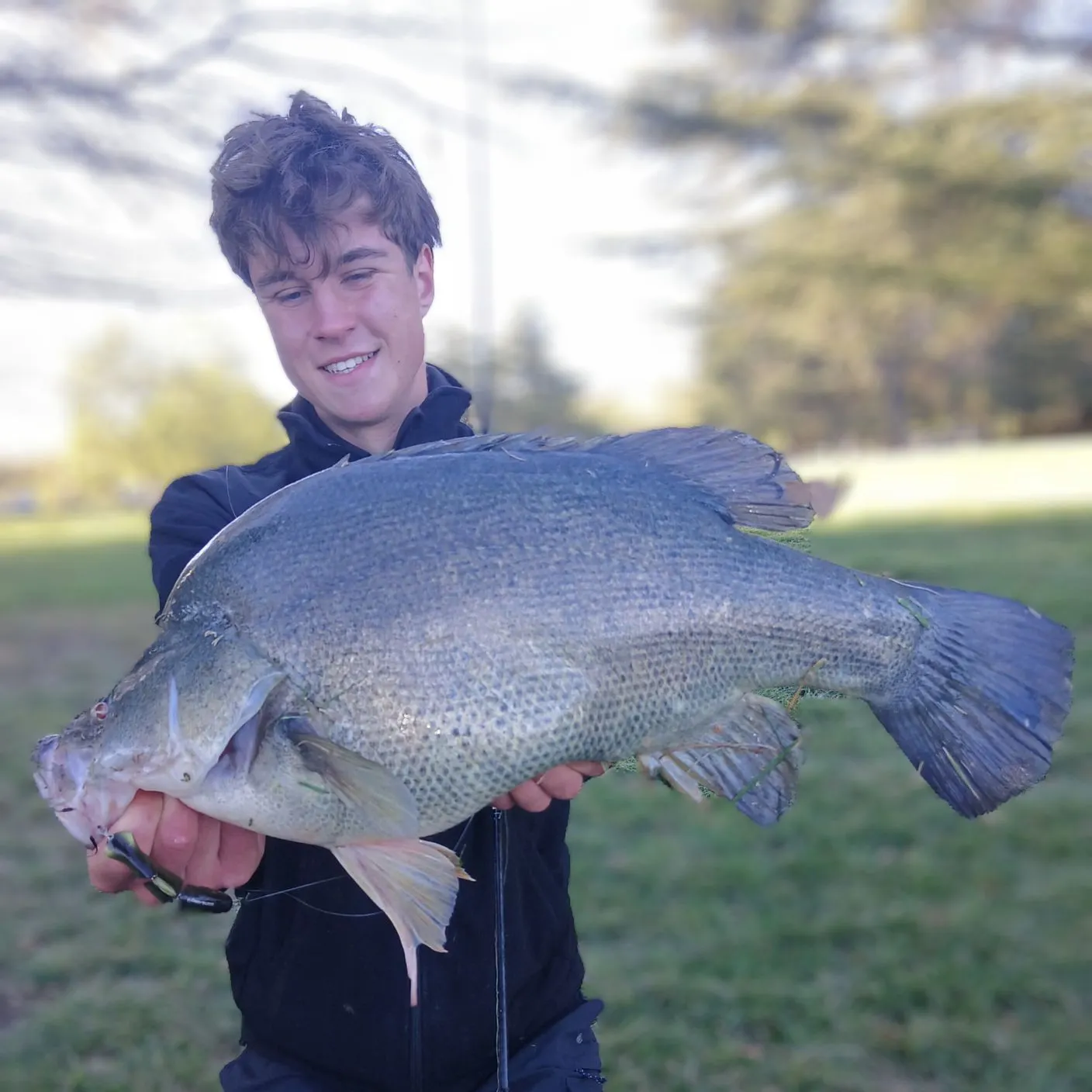 Golden perch caught on Fishbrain