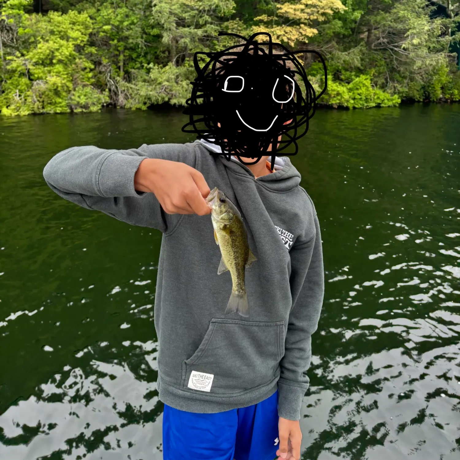 Largemouth bass caught on Fishbrain