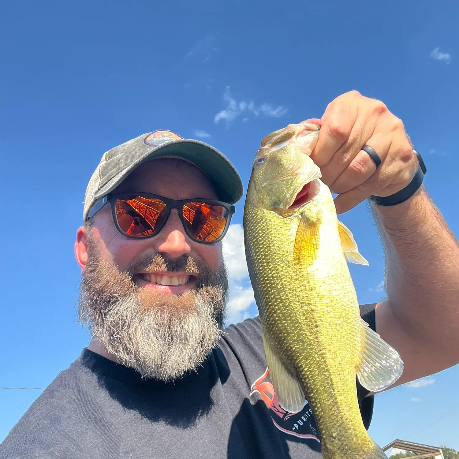 Largemouth bass caught on Fishbrain