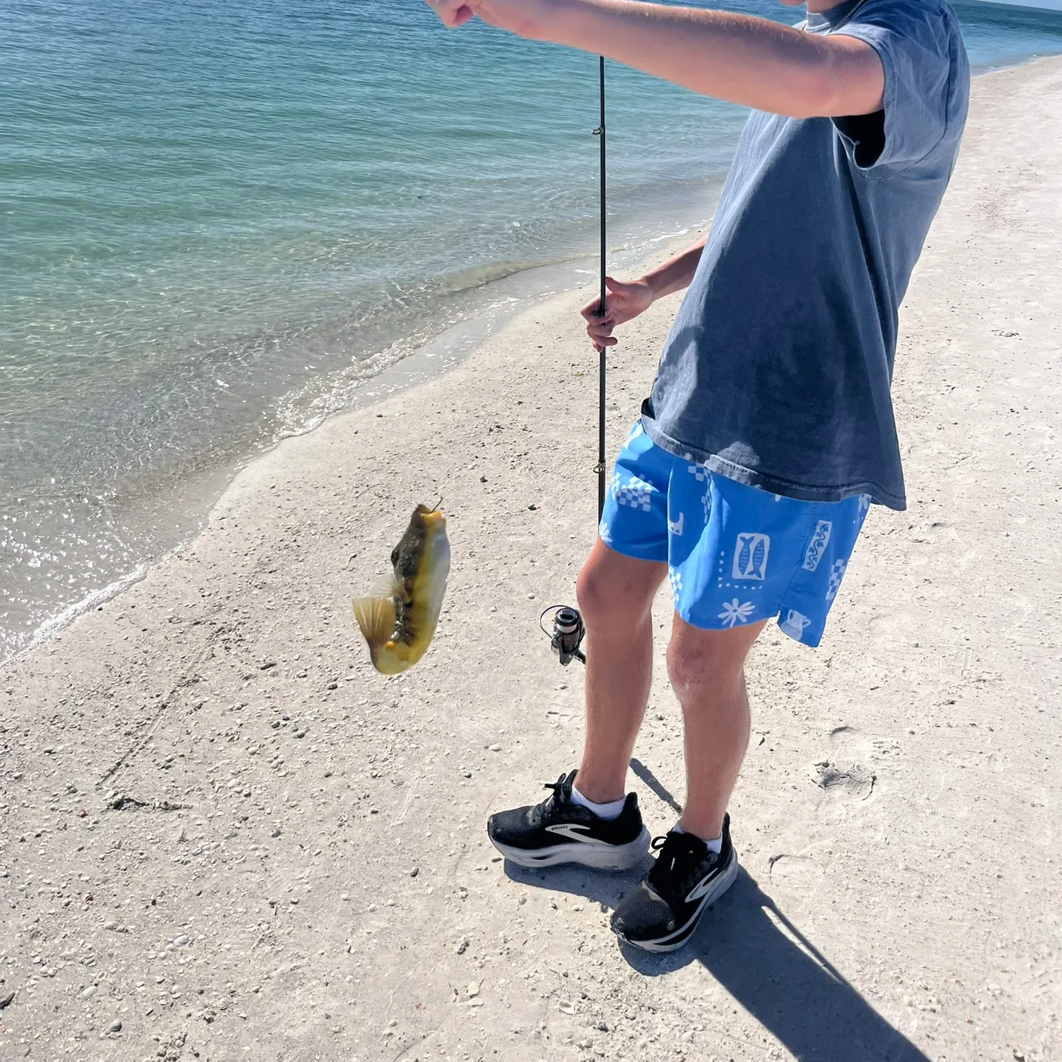 The most recent Smooth puffer catches on Fishbrain