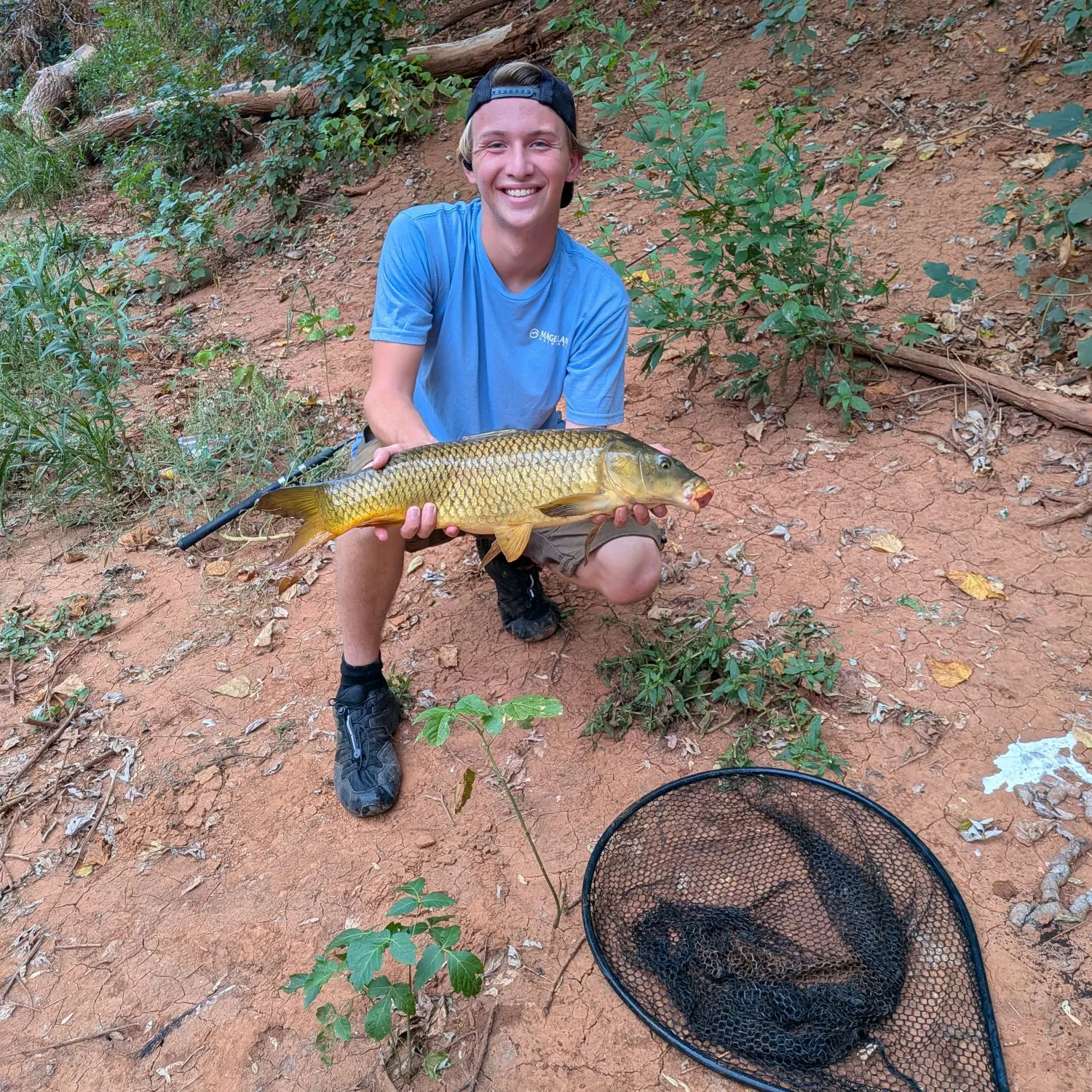 Common carp caught on Fishbrain