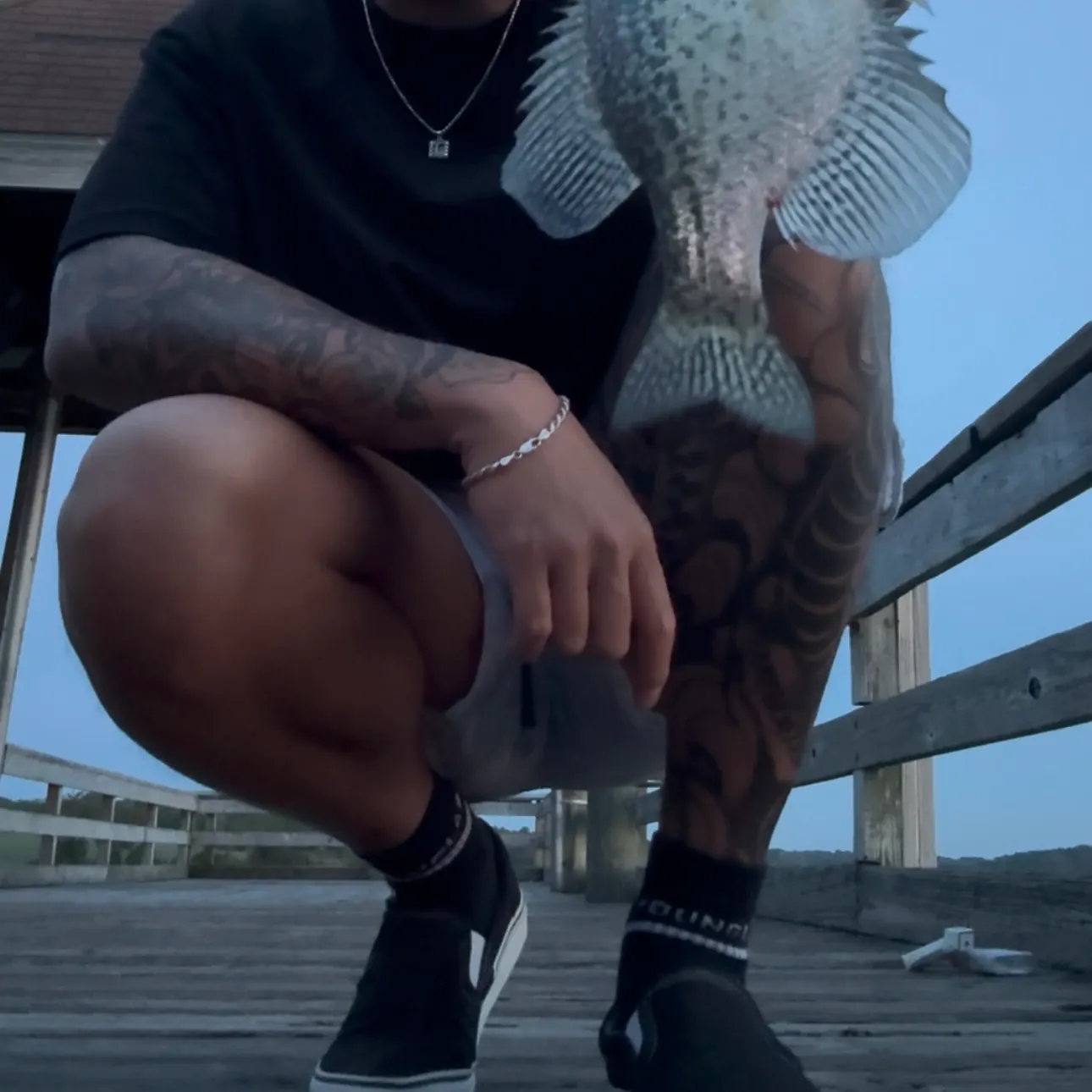 Black crappie caught on Fishbrain