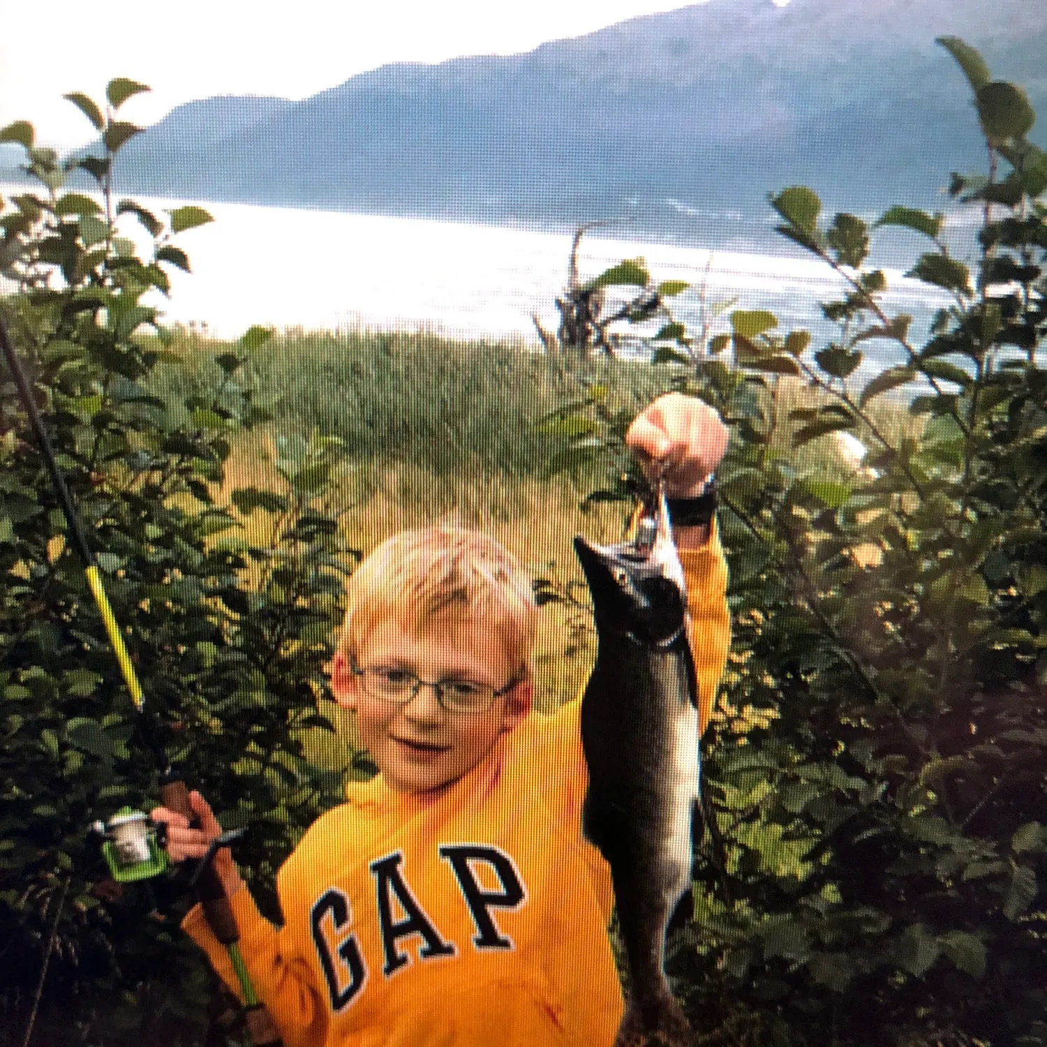 The most recent Pink salmon catches on Fishbrain