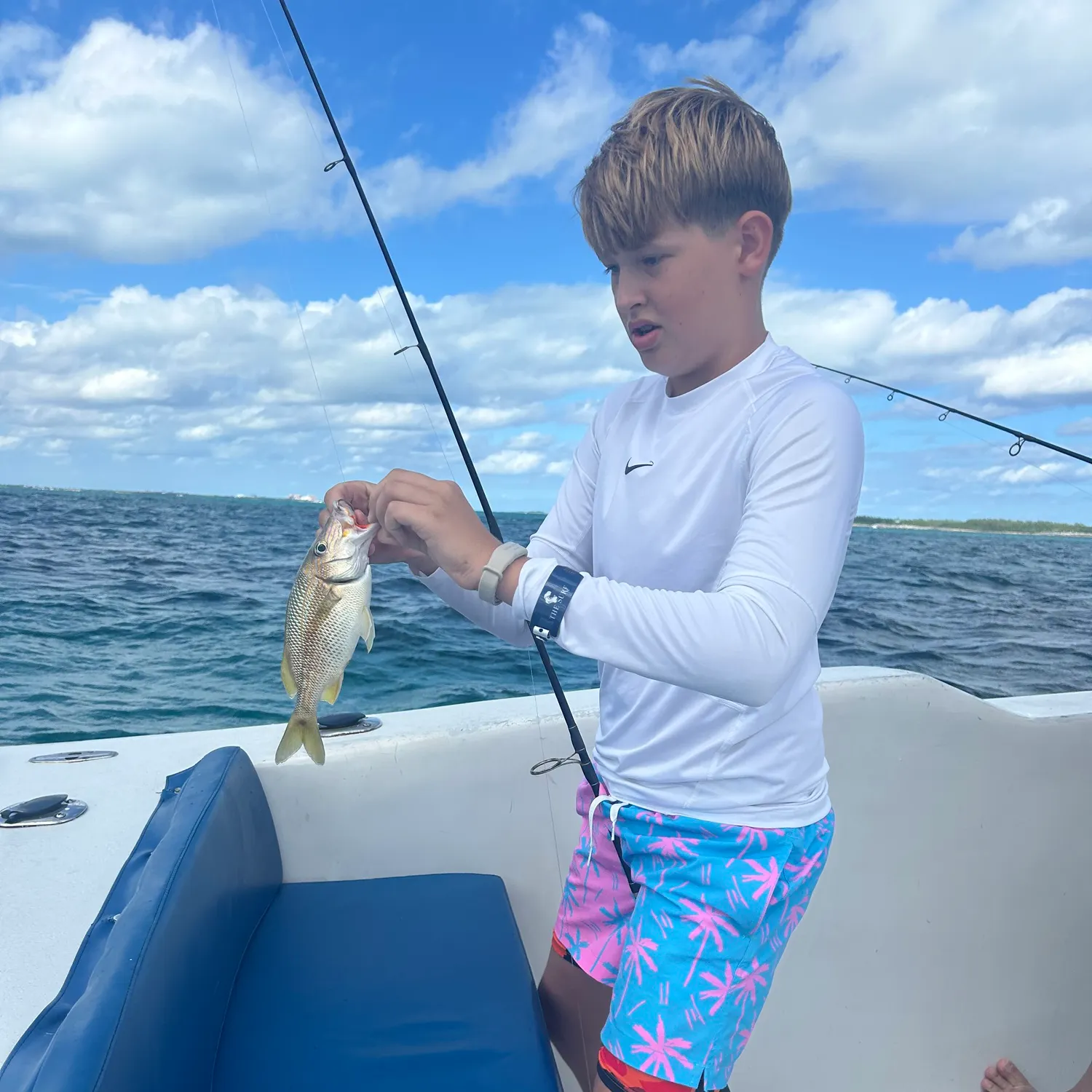 The most recent White grunt catches on Fishbrain