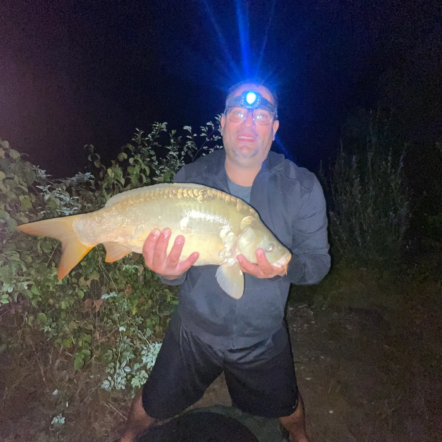Mirror carp caught on Fishbrain