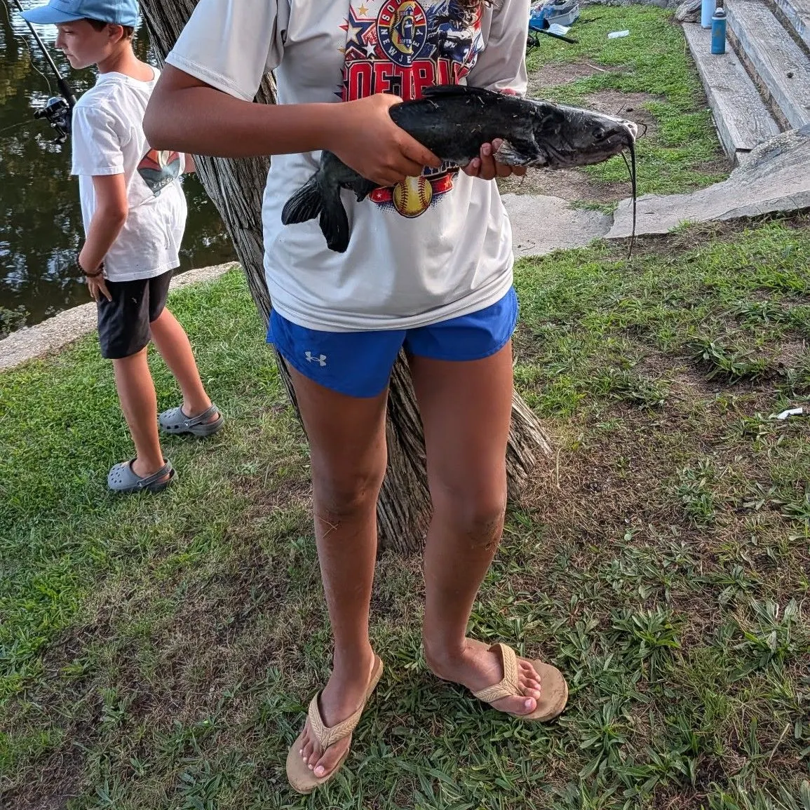 Channel catfish caught on Fishbrain
