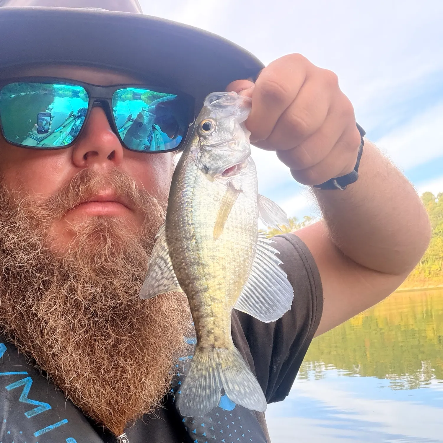 White crappie caught on Fishbrain