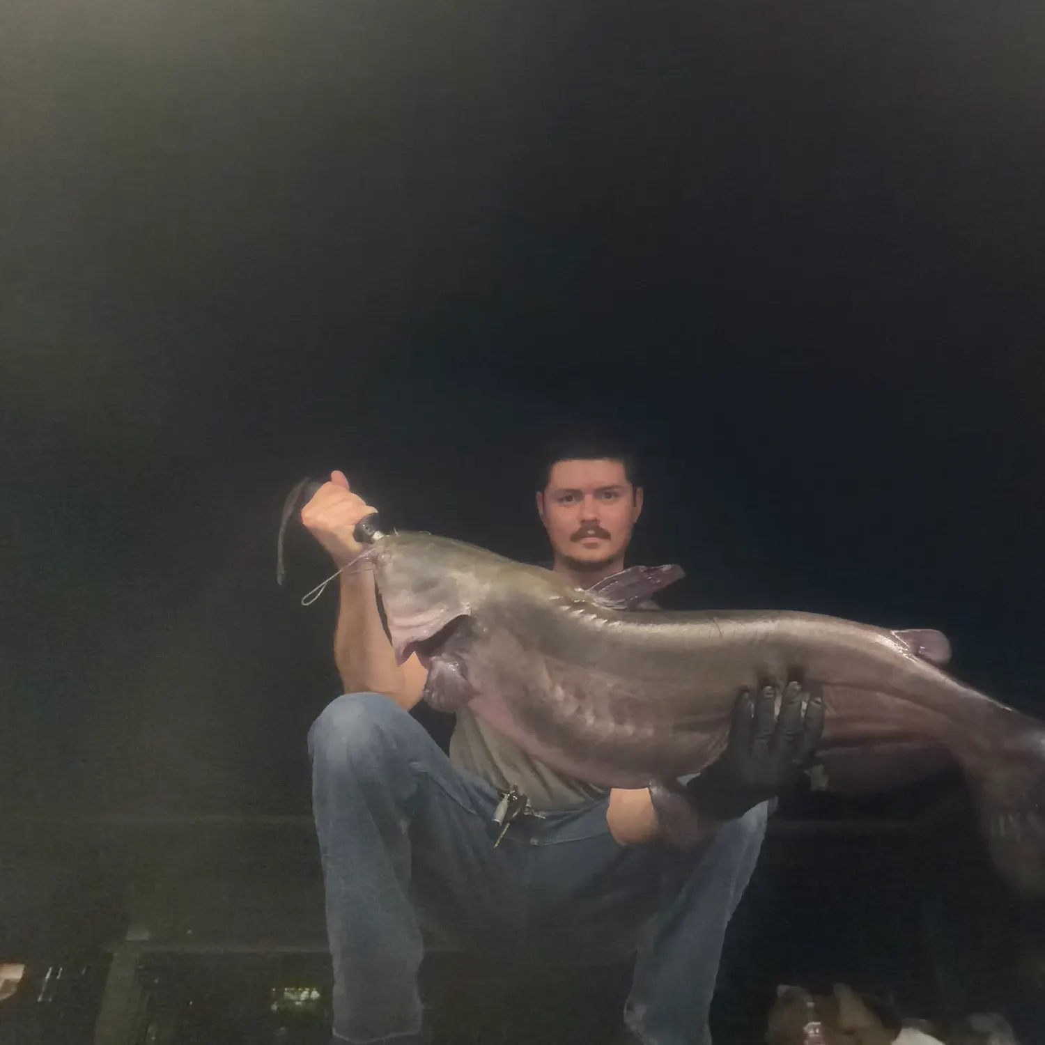 Channel catfish caught on Fishbrain