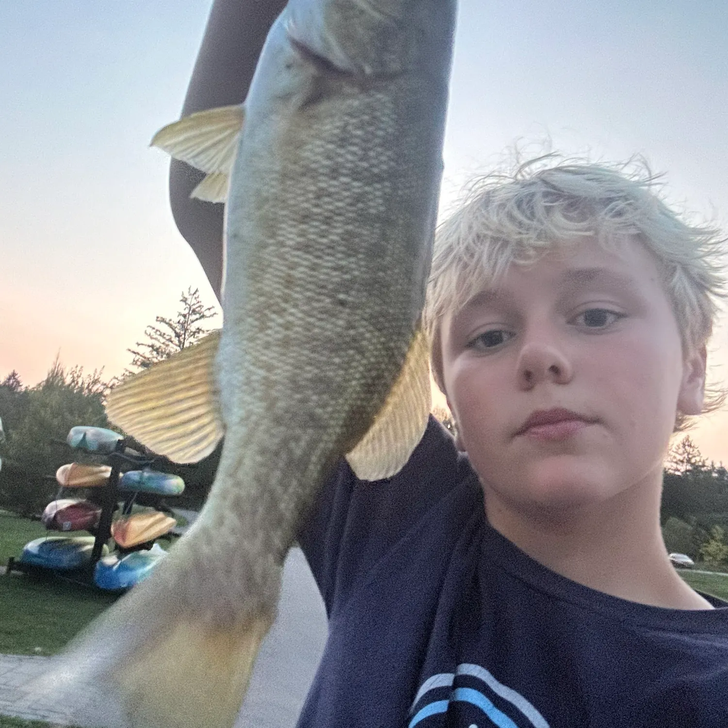 Smallmouth bass caught on Fishbrain