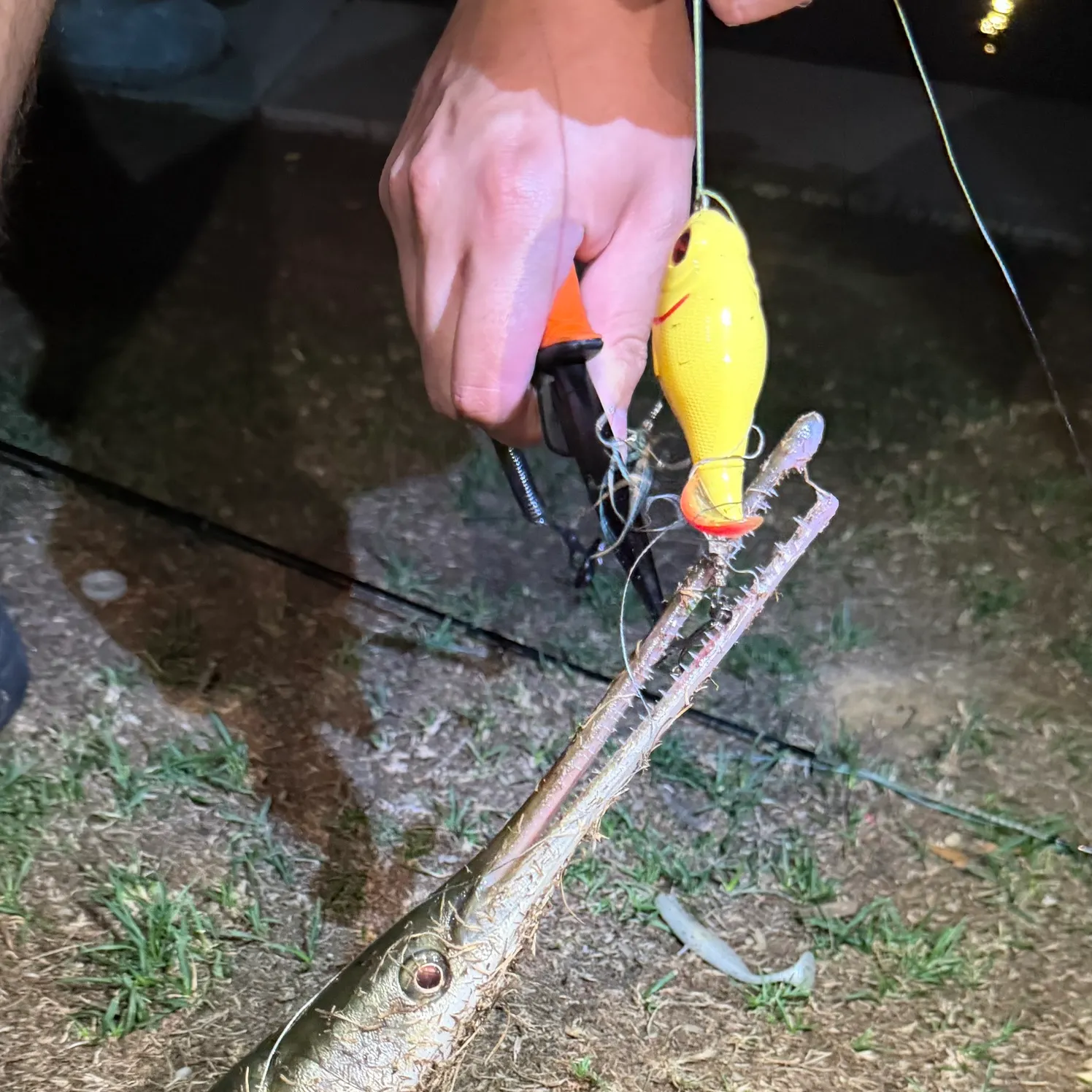 catch