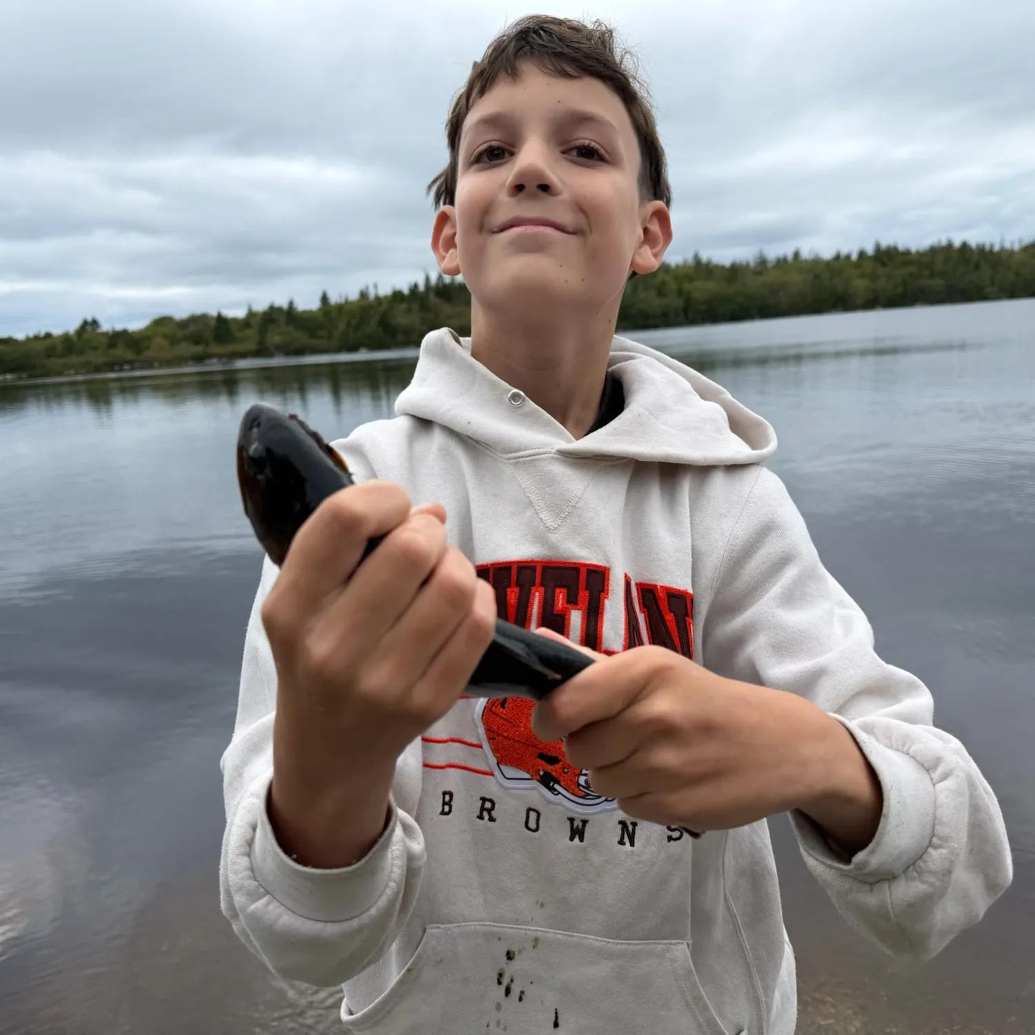 Brook trout caught on Fishbrain