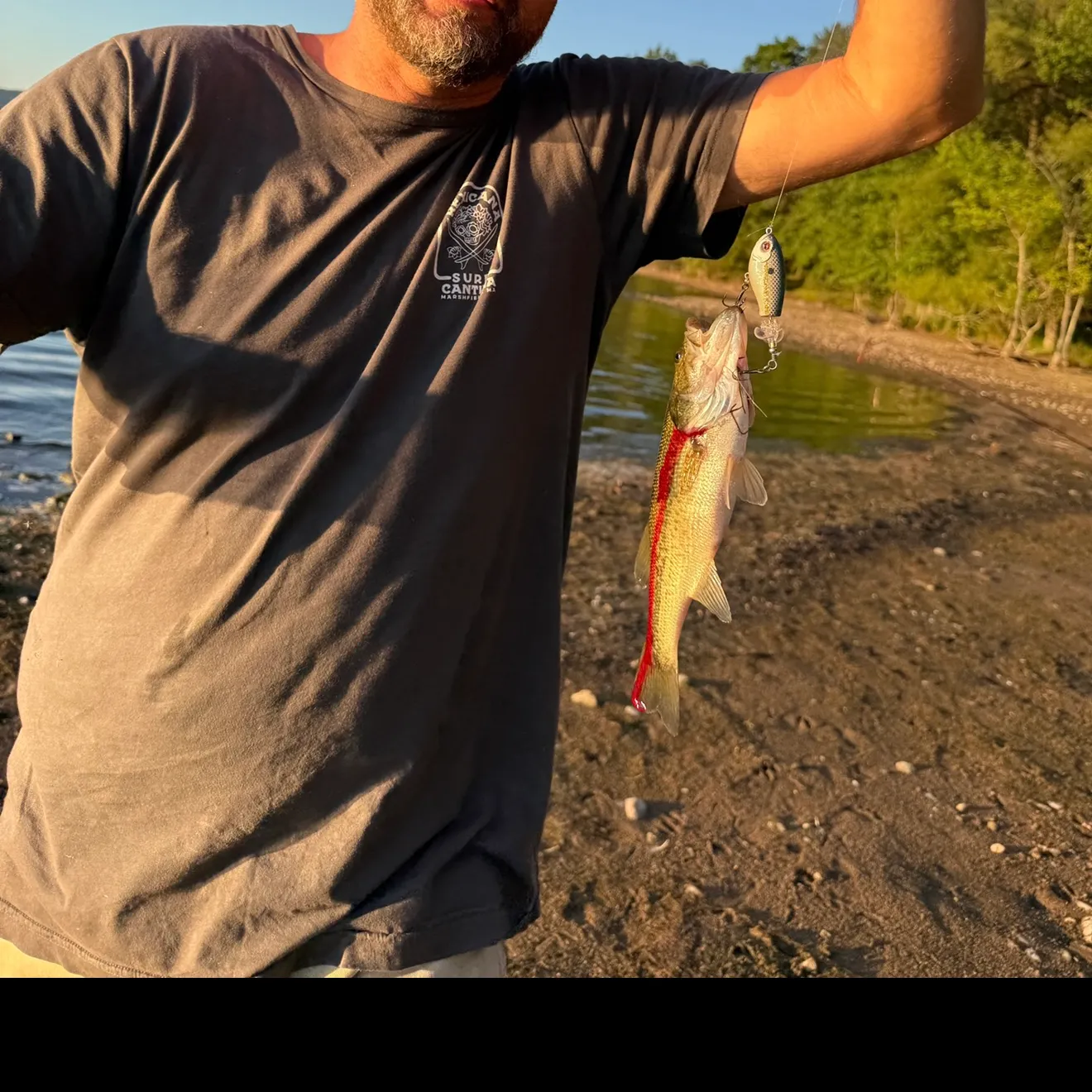 Largemouth bass caught on Fishbrain
