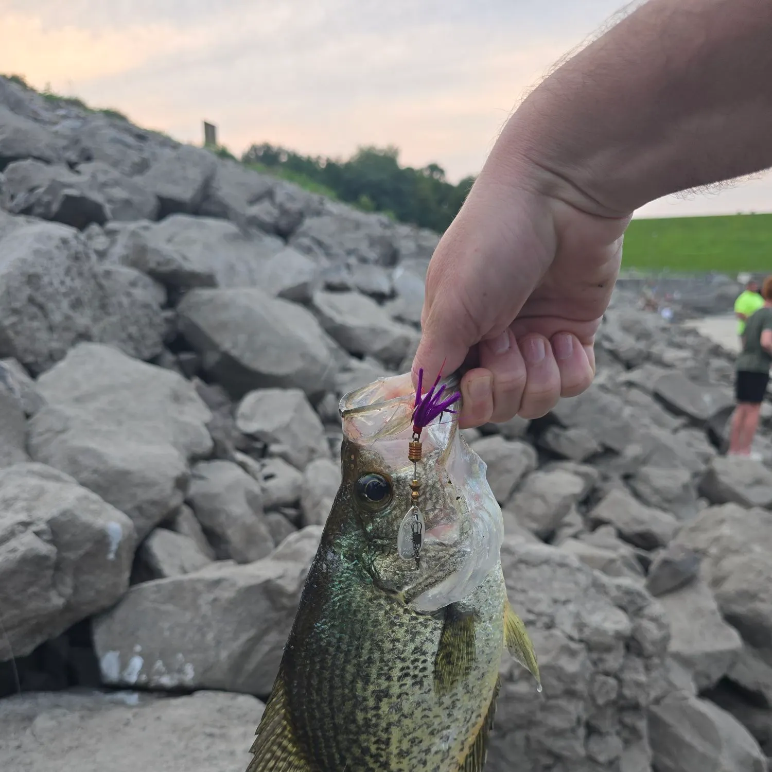 catch