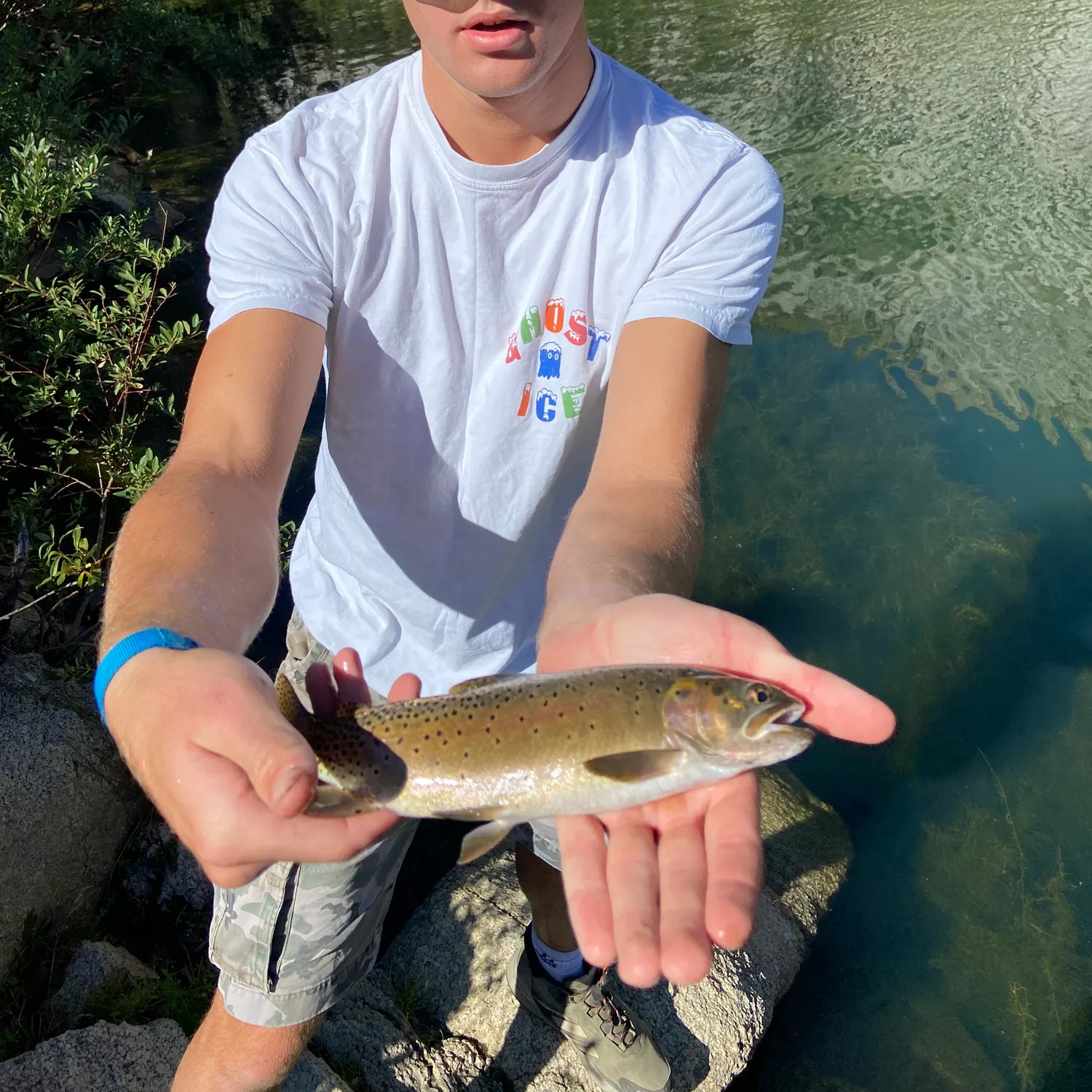 Cutthroat trout caught on Fishbrain