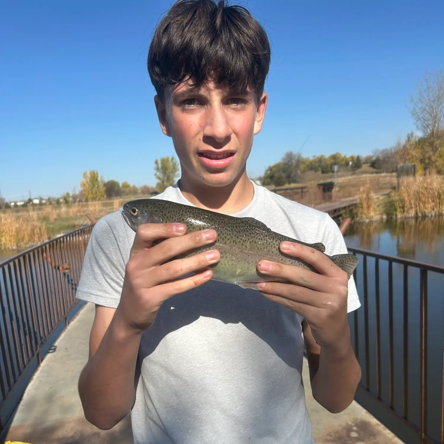Rainbow trout caught on Fishbrain