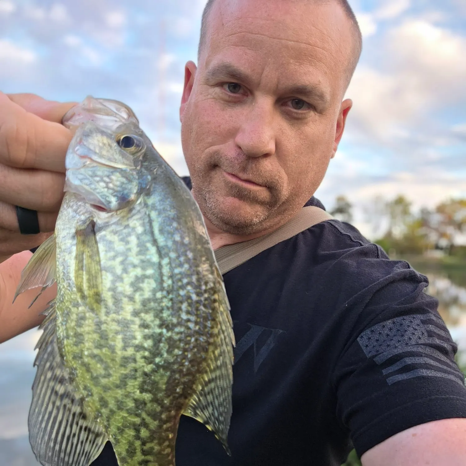 Black crappie caught on Fishbrain