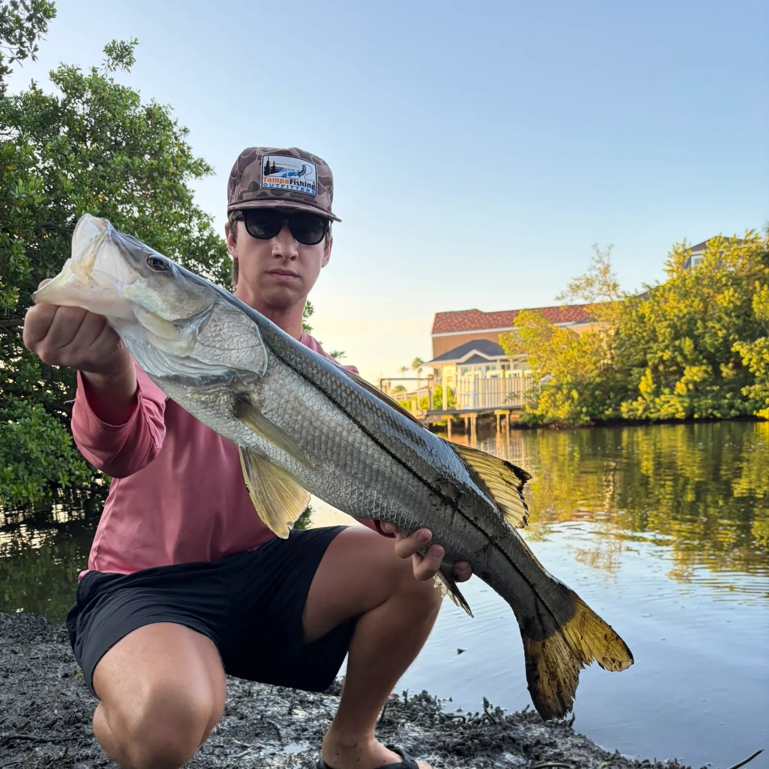Common snook caught on Fishbrain