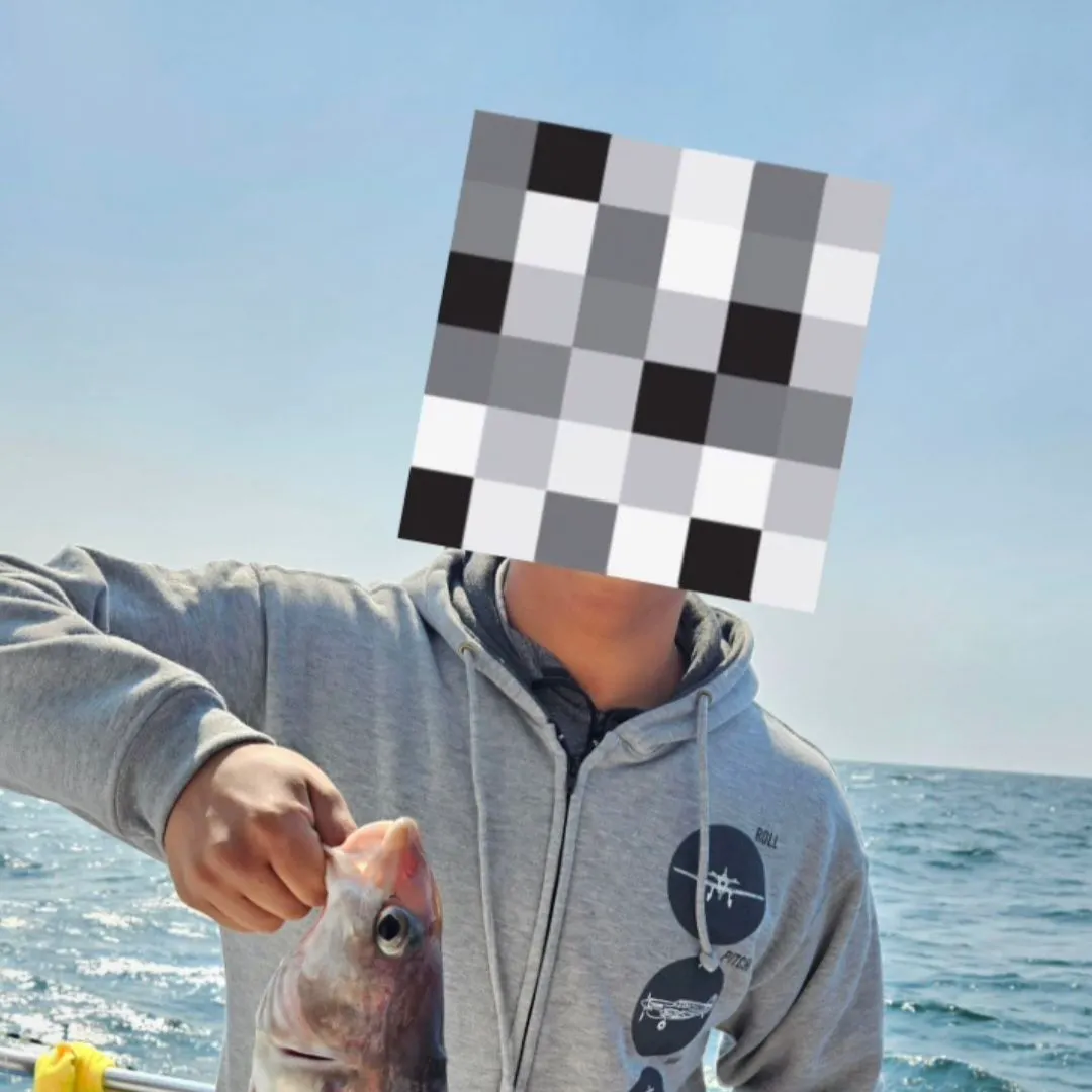 The most recent Haddock catches on Fishbrain