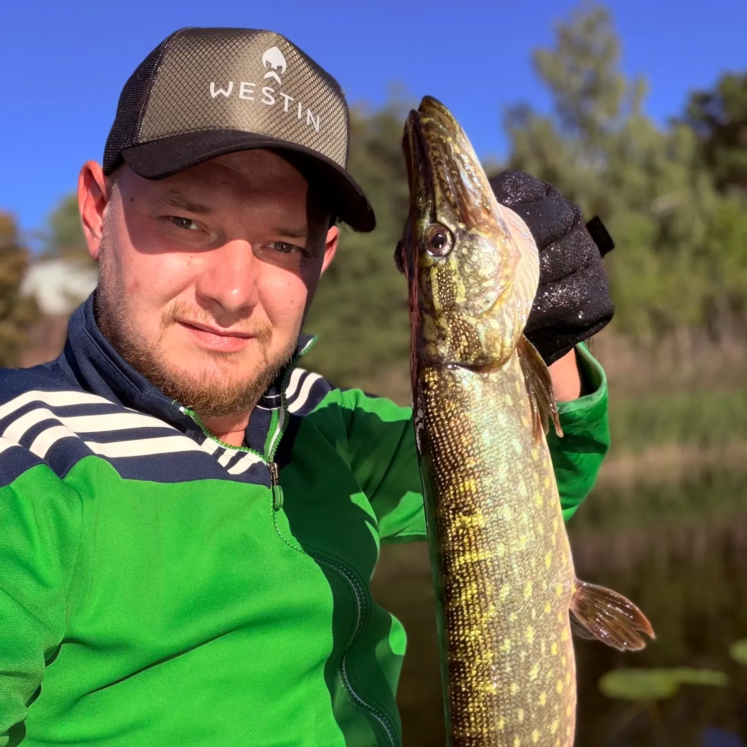 Northern pike caught on Fishbrain