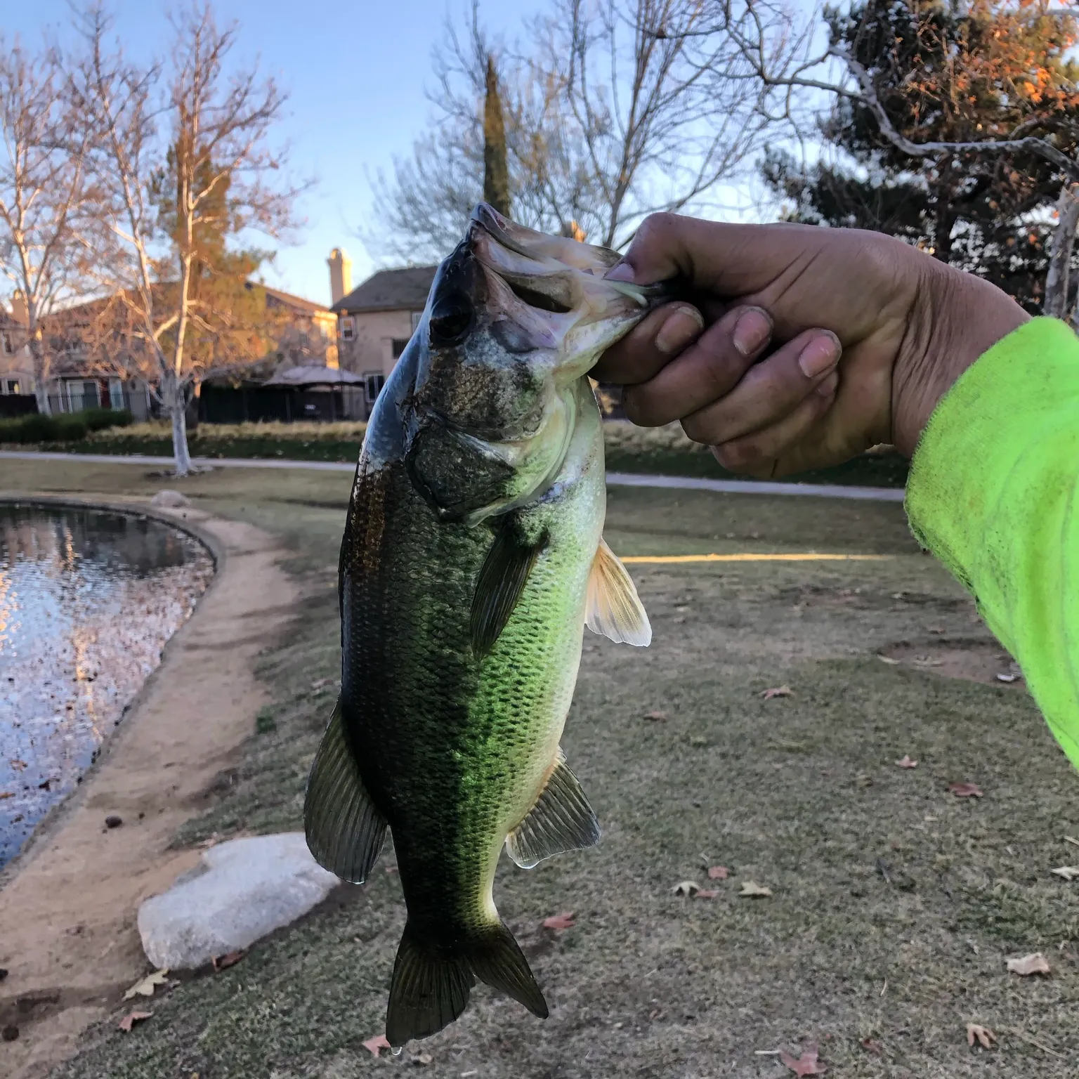 catch