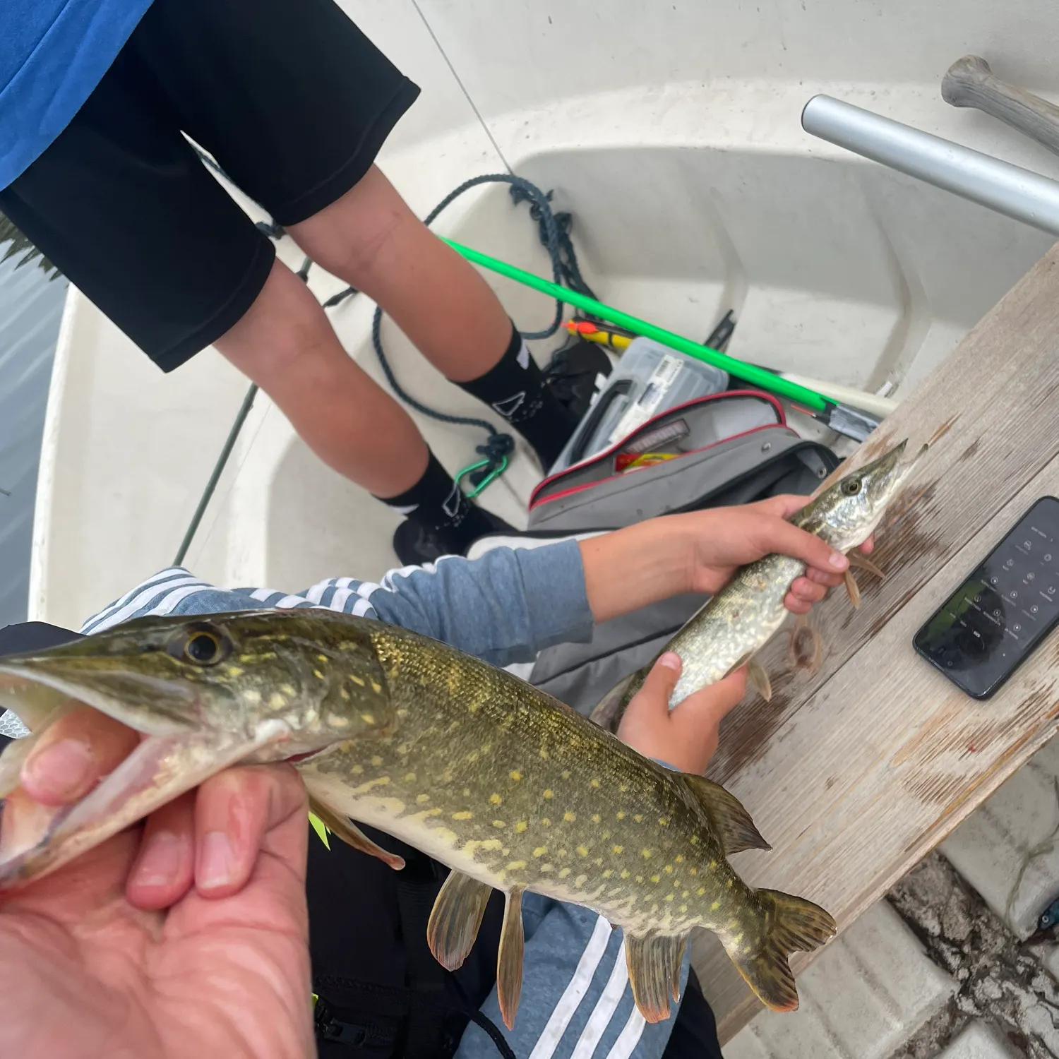 recently logged catches