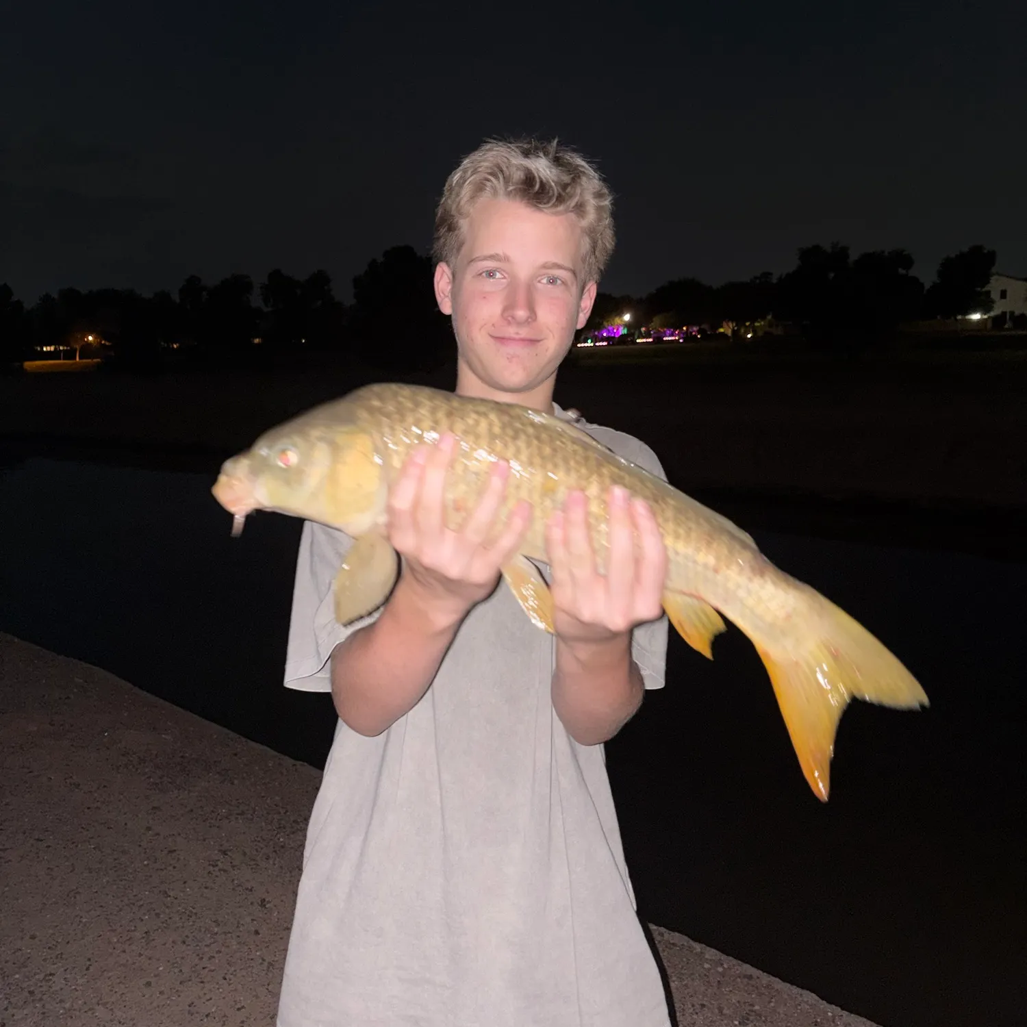 Common carp caught on Fishbrain