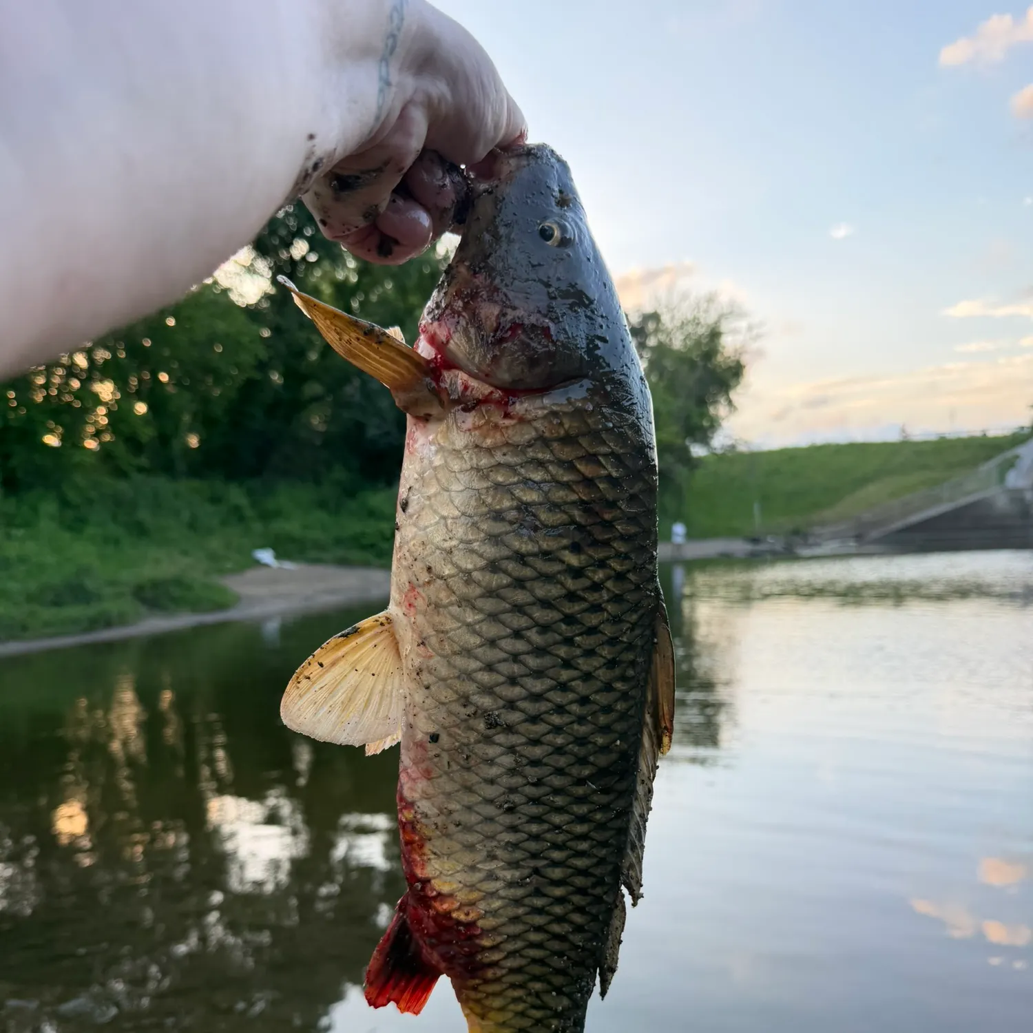 catch