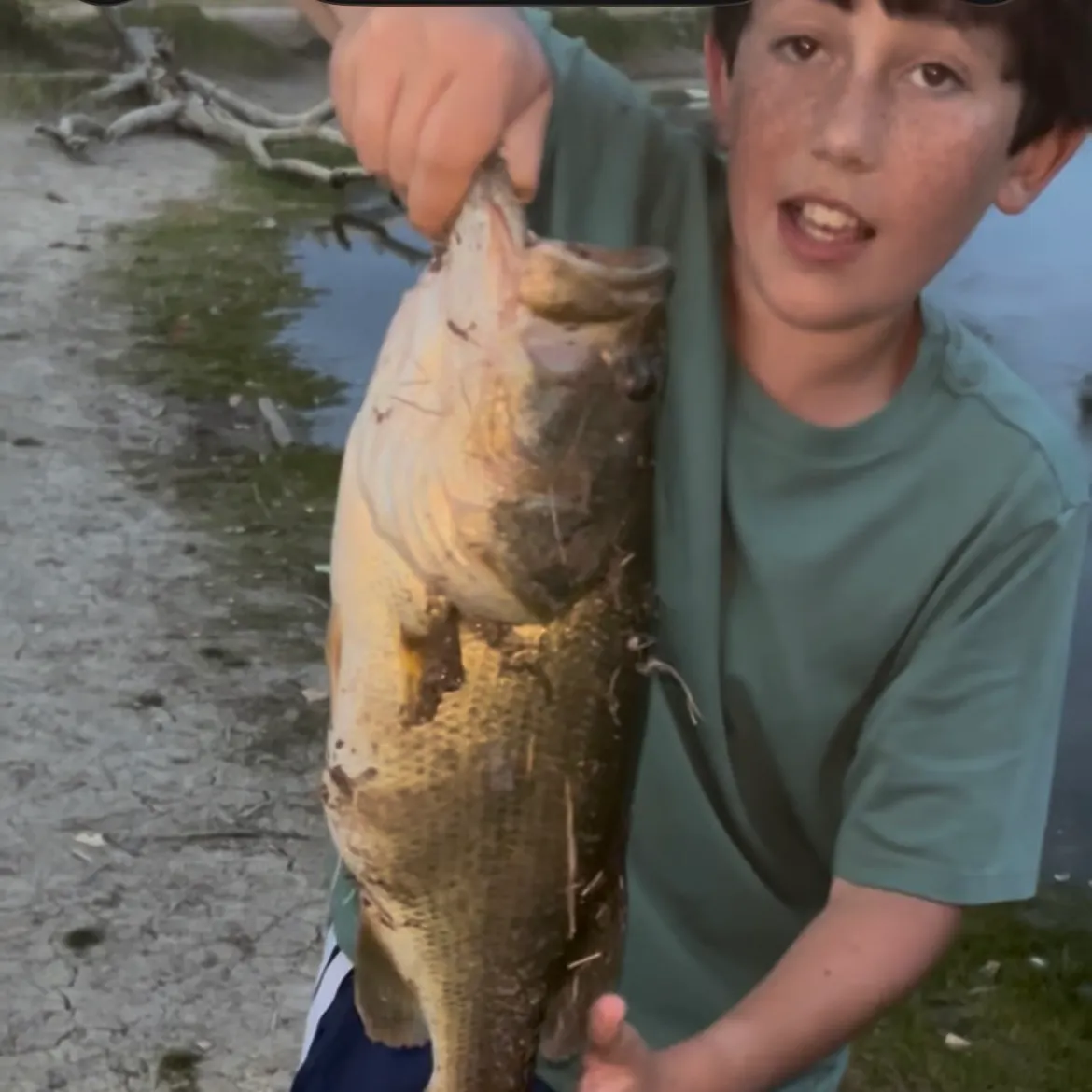 Largemouth bass caught on Fishbrain