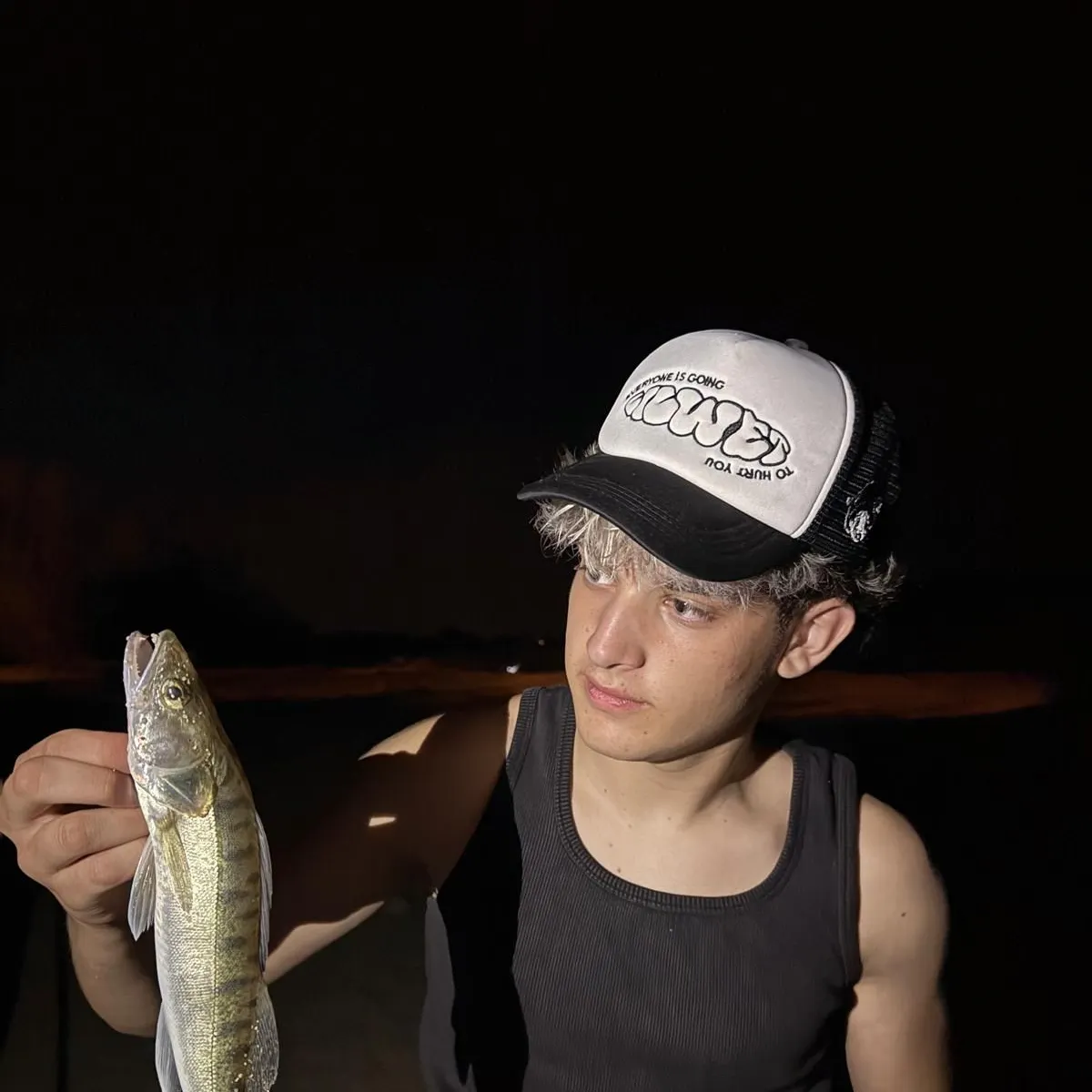 Zander caught on Fishbrain