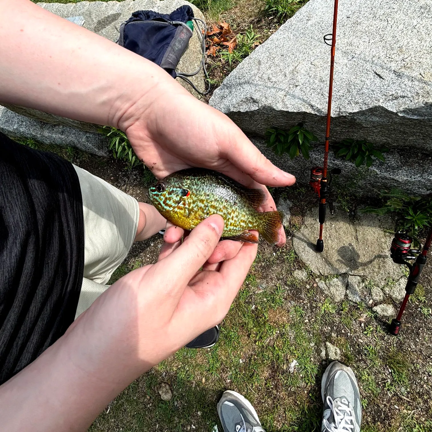 catch