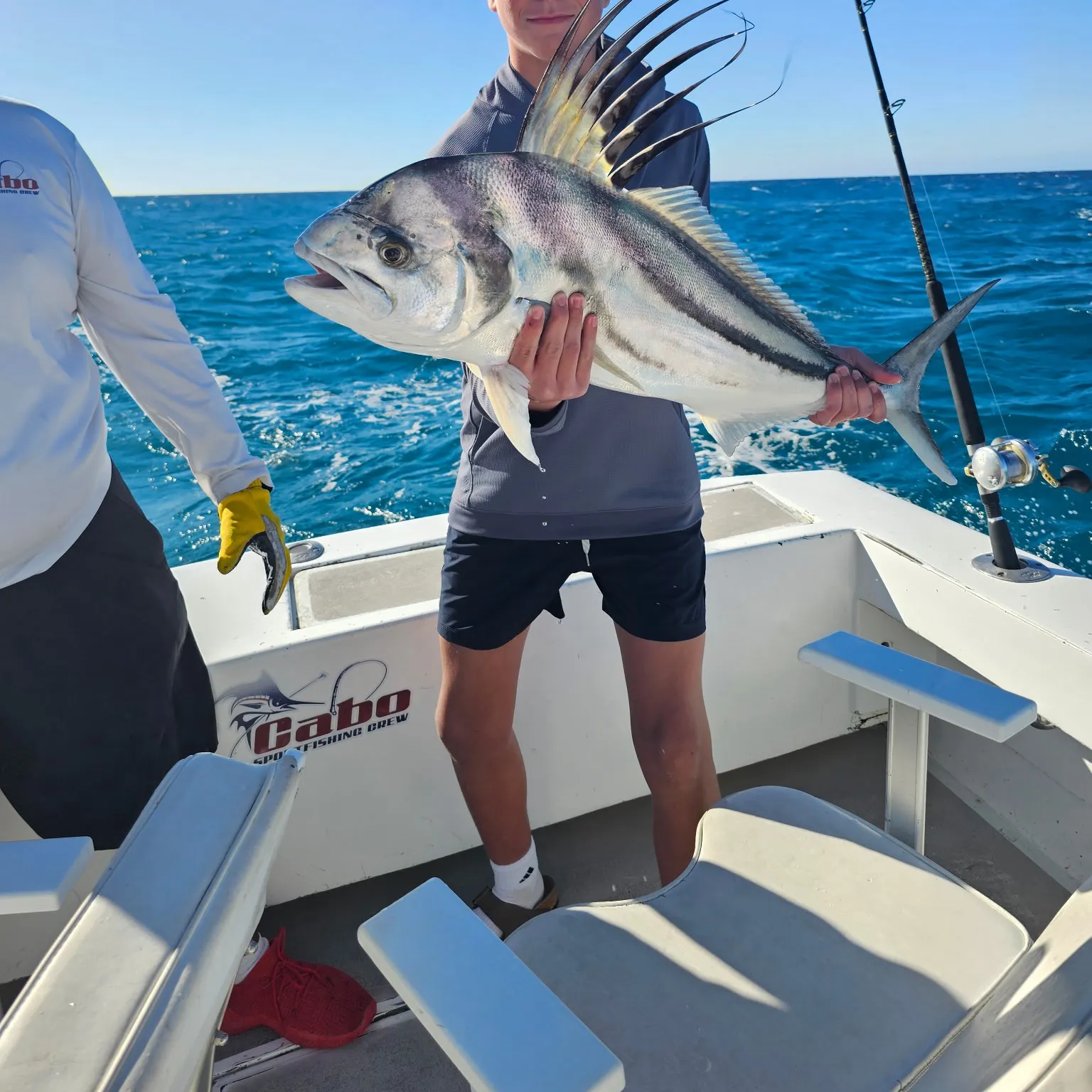 The most recent Roosterfish catches on Fishbrain