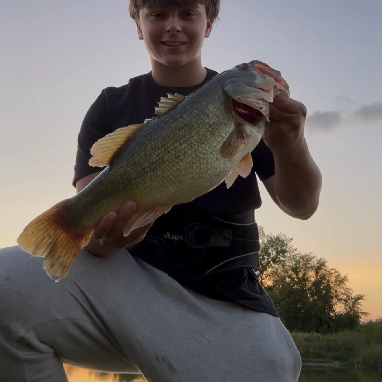 Largemouth bass caught on Fishbrain