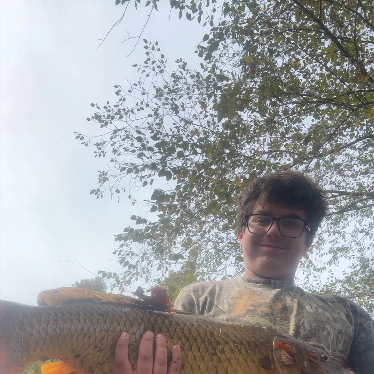 Common carp caught on Fishbrain